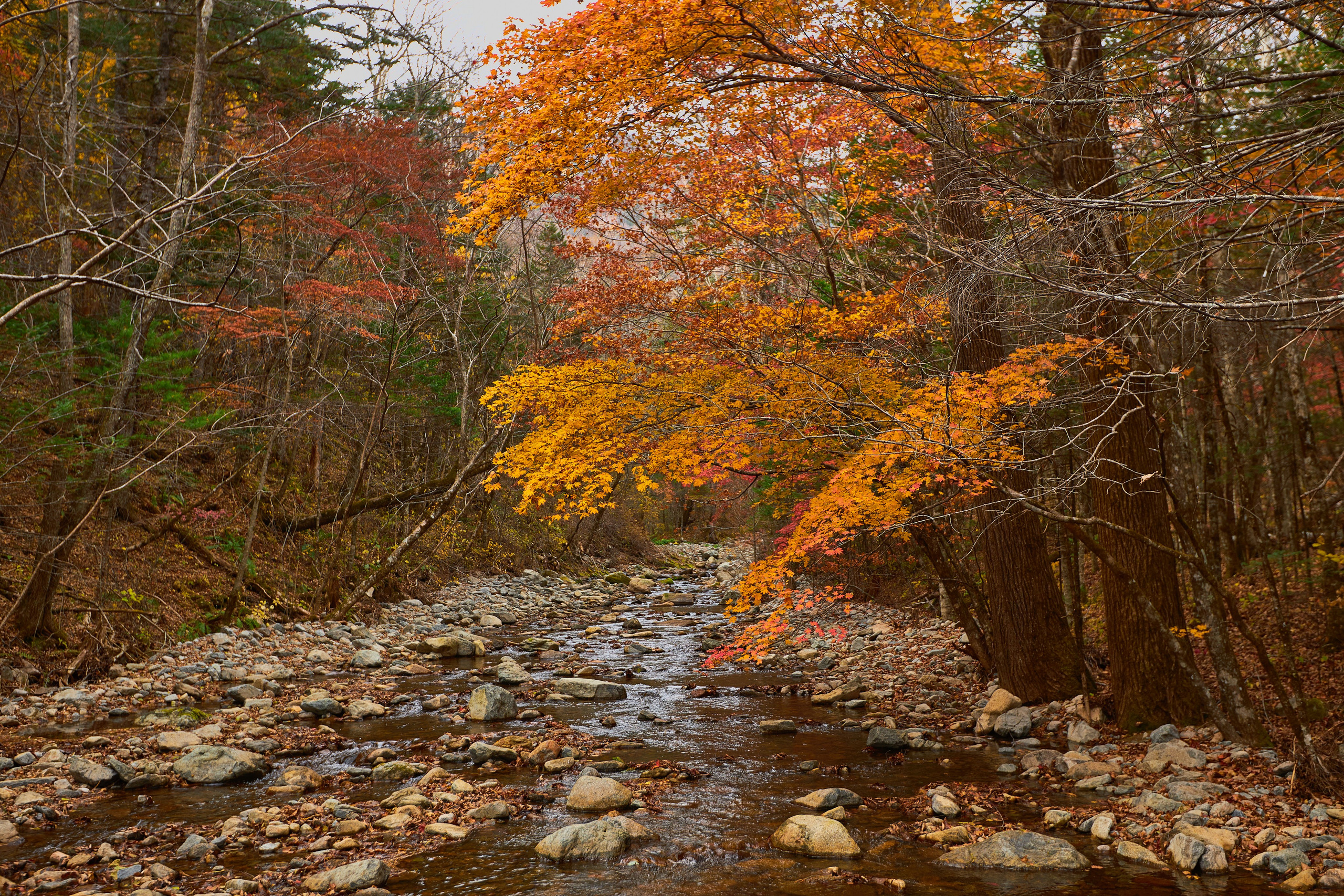 Пейзаж. Репортажный Фотограф во Владивостоке и России Осипчук Дмитрий
