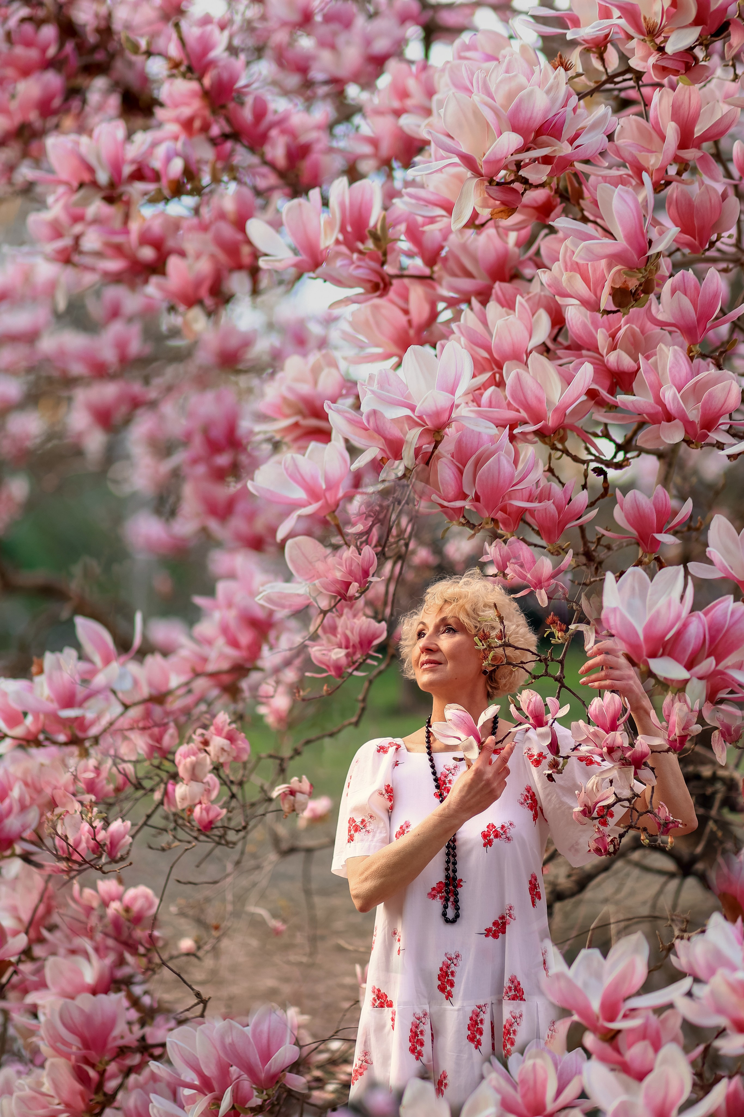 Цветение. Магнолия. Сакура. Фотограф в городе Сочи