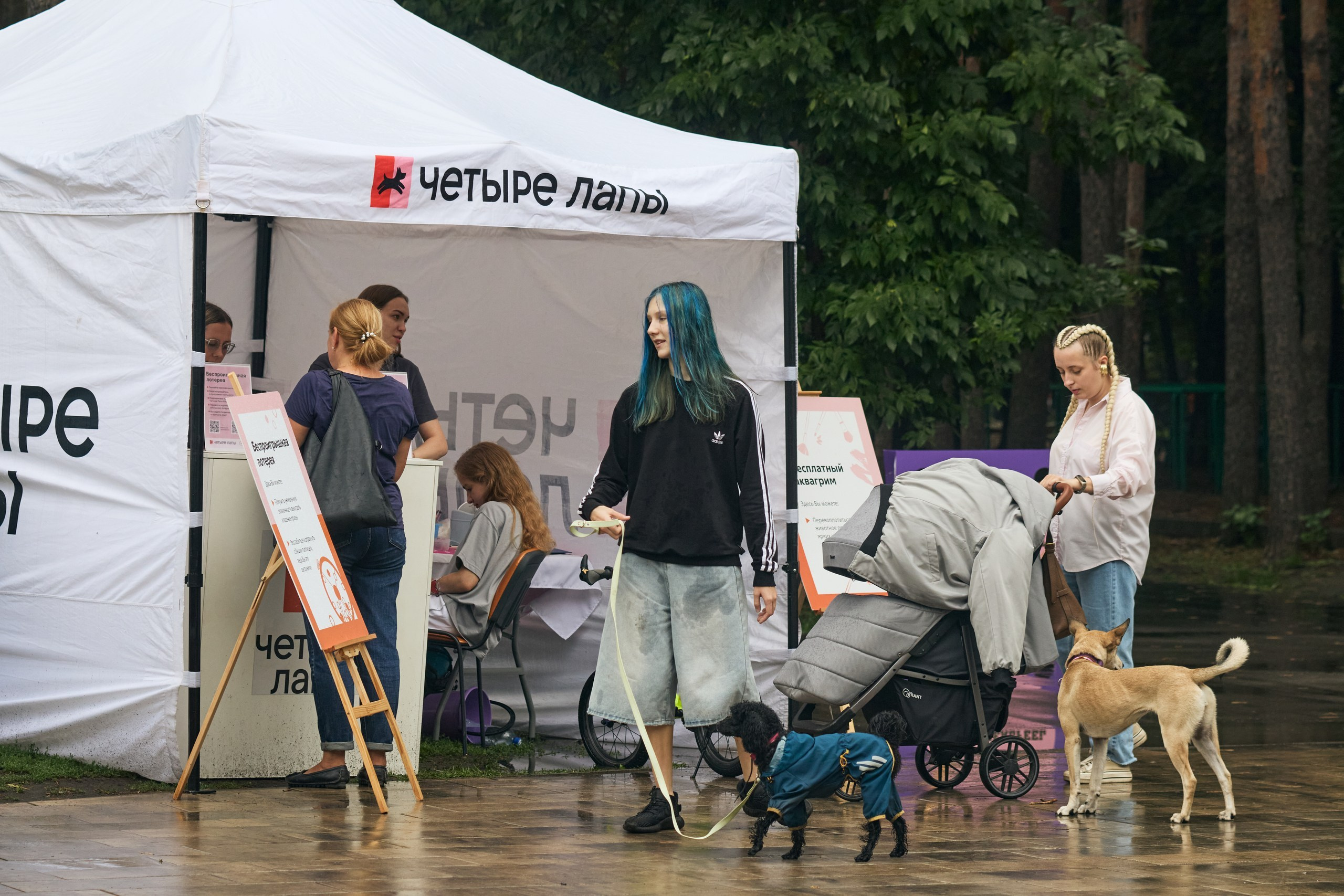 Четыре Лапы. Свадебный и репортажный фотограф Дмитрий Кононенко