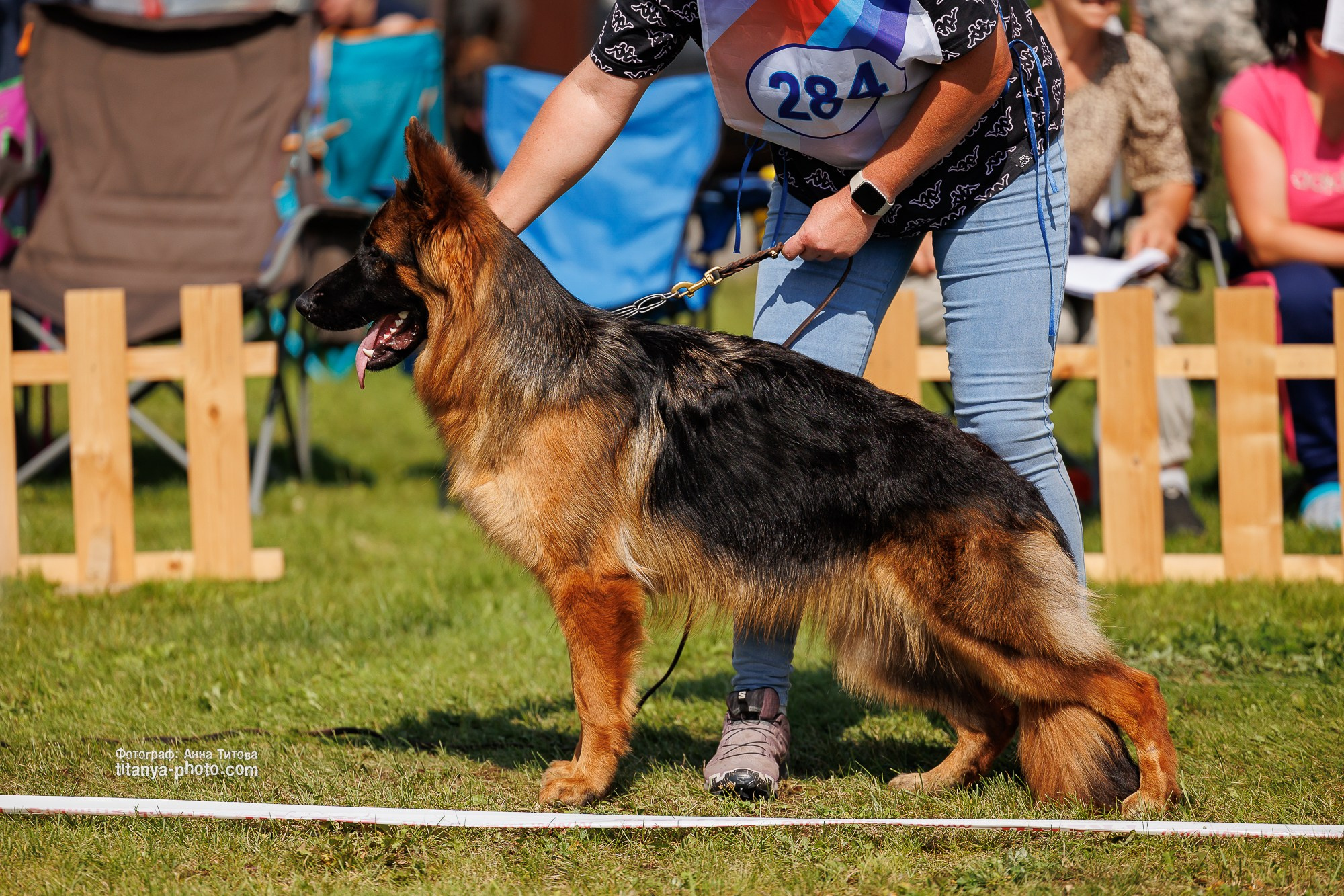 Немецкие овчарки: фото из рингов и вне ринга, мутпроба (фотографии с выставок). Фотограф собак, фотограф-анималист Аня Титова (Titanya). Москва