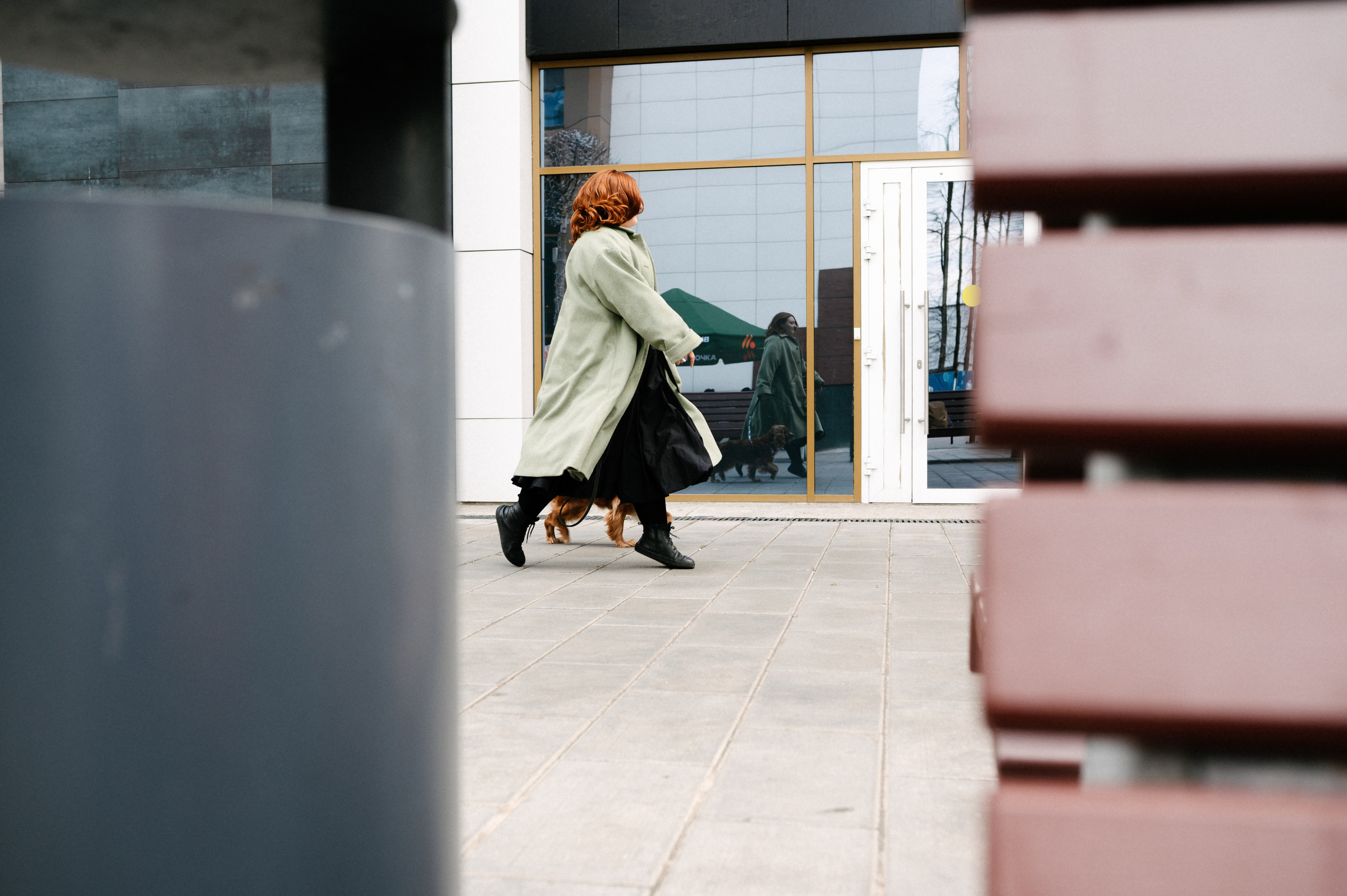 Рыжая команда. Фотограф анималист в Москве Ольга Агушева