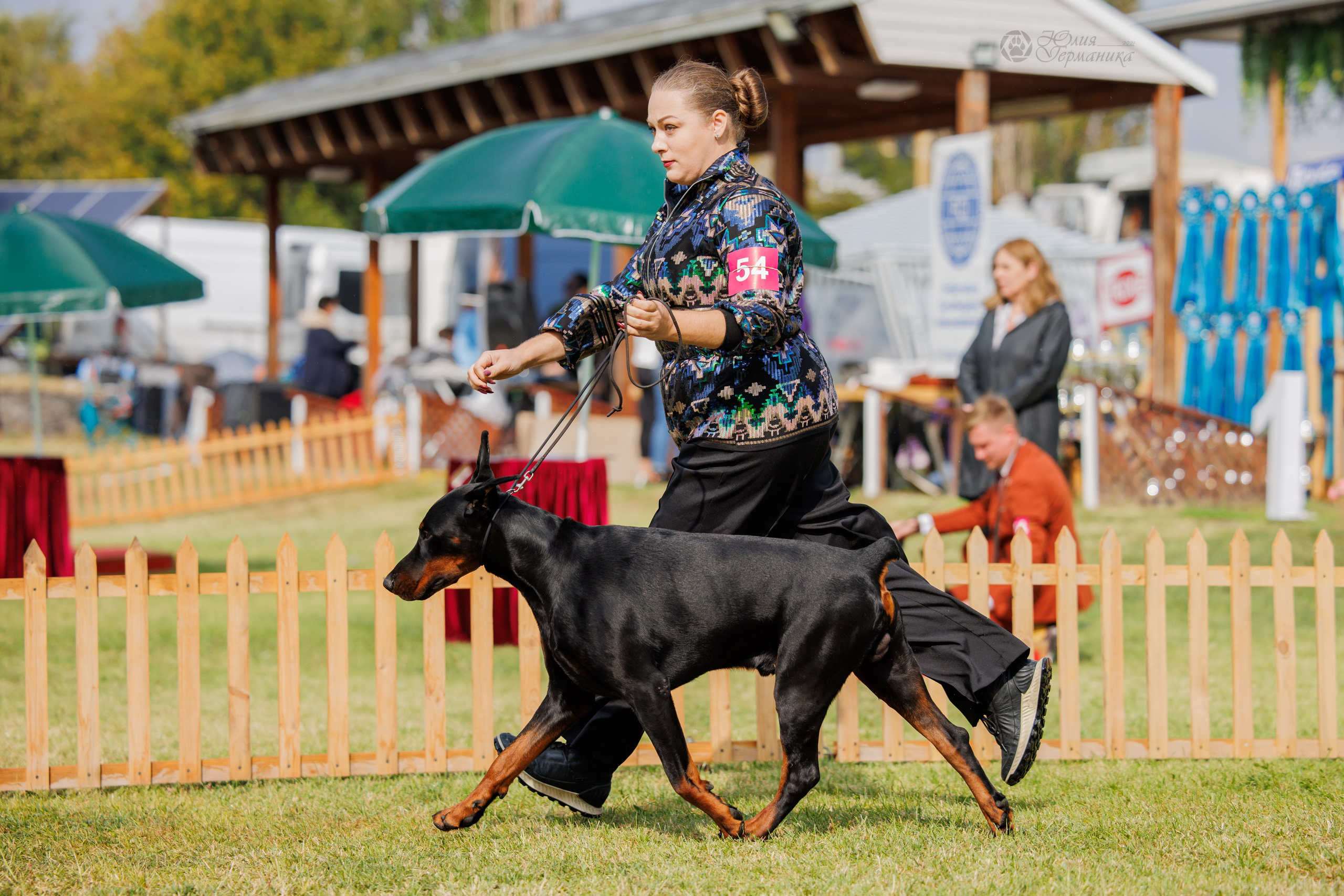 Армения,Ереван 3хCACIB 15-17.10.2024. Фотограф-анималист Юлия Германика