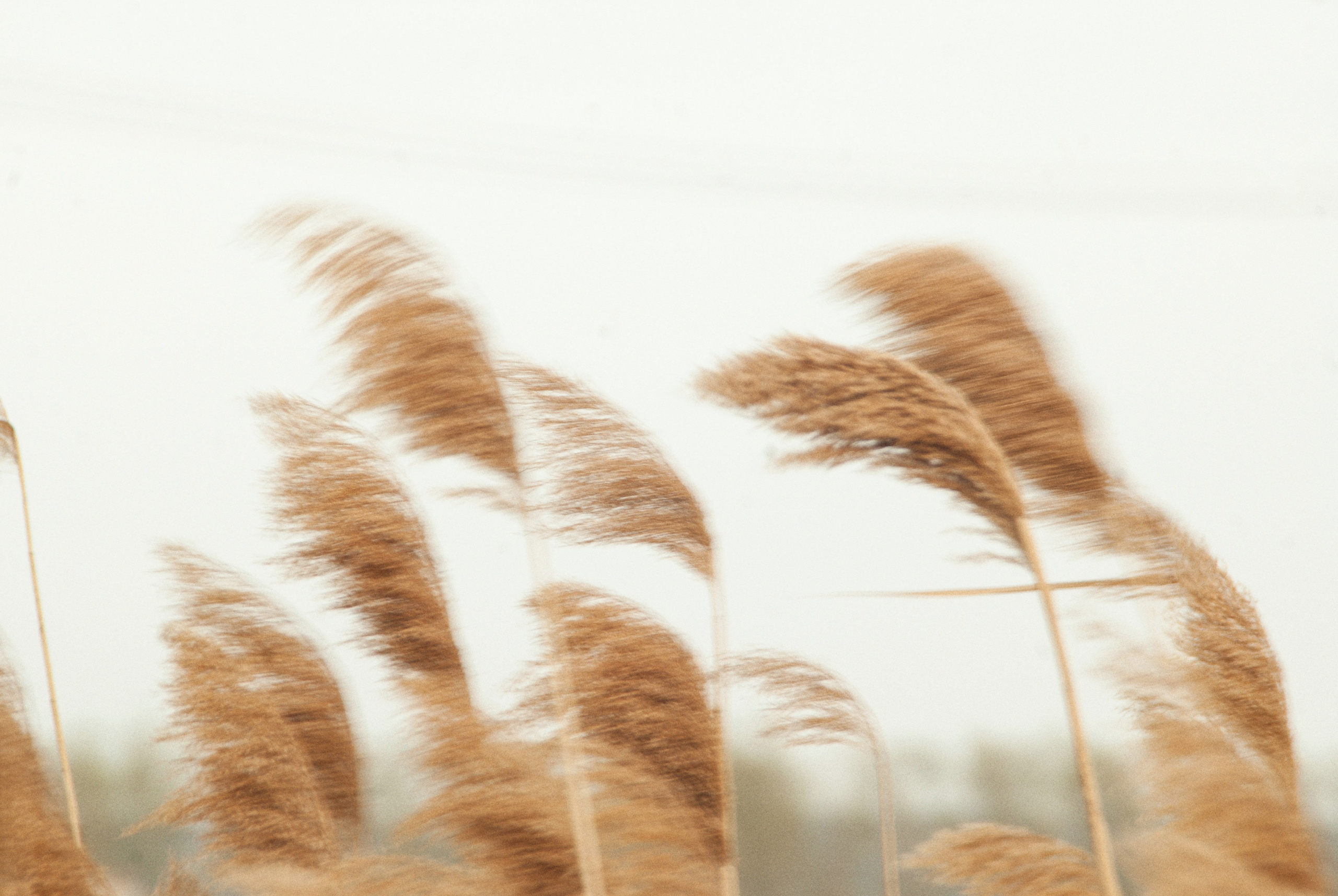 Этот прекрасный мир