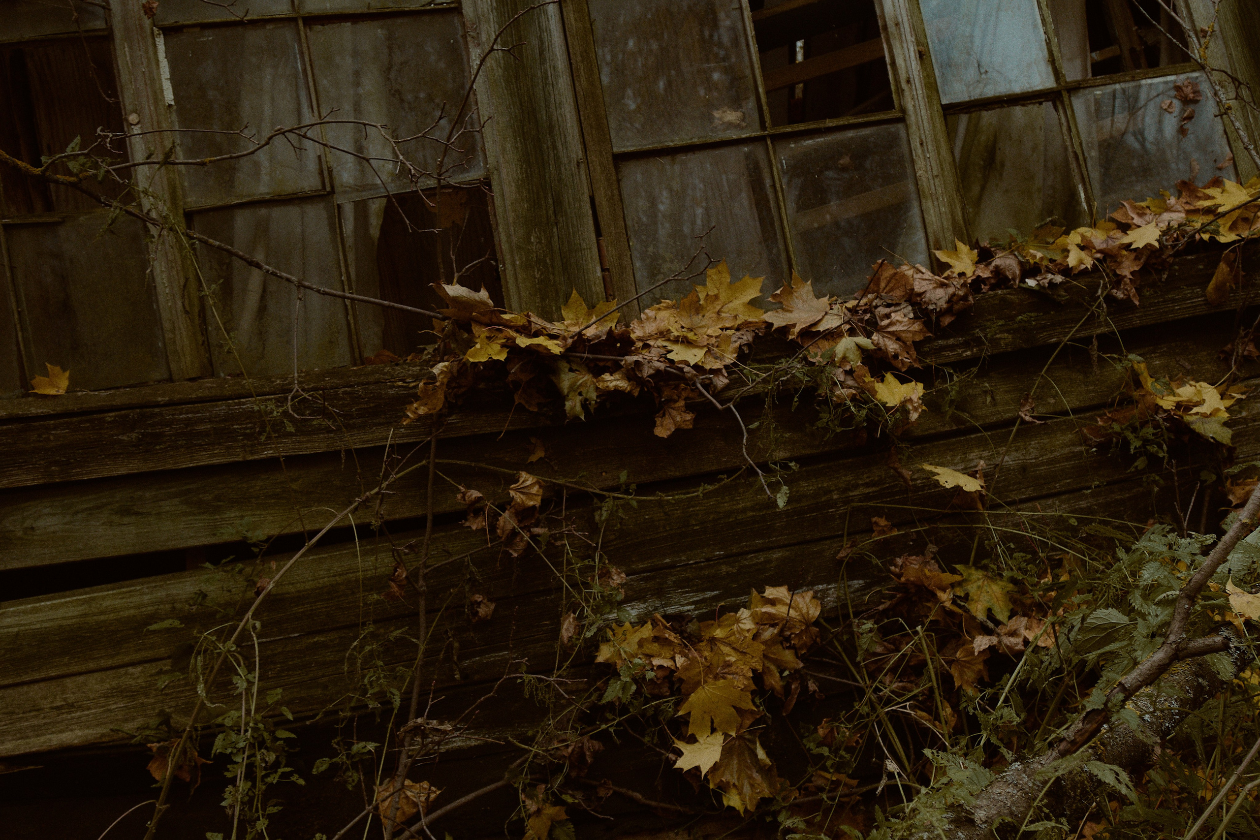 Русская сказка. Фотограф лавстори Москва/МО Приятелева Ангелина