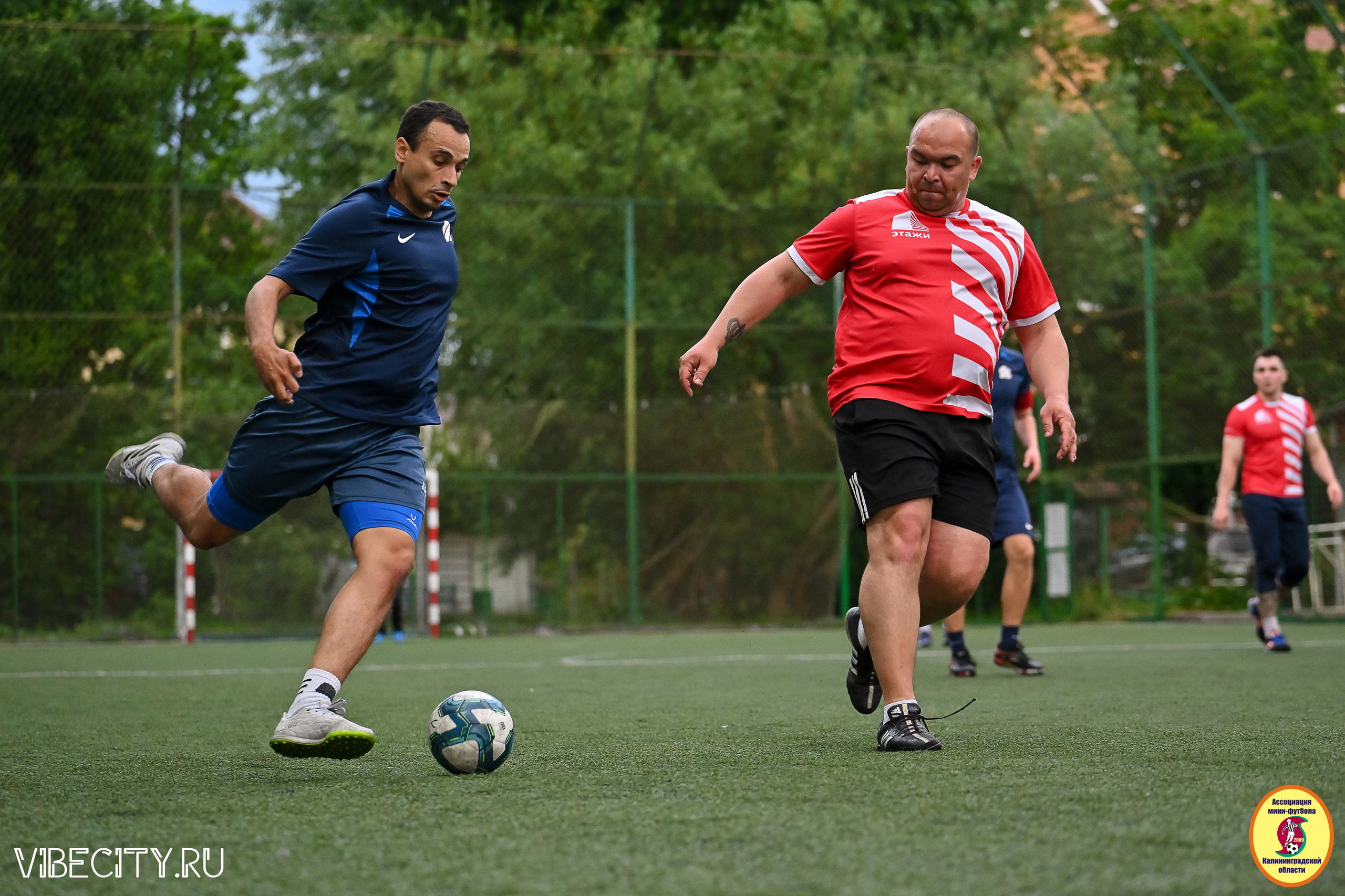 ИГРЫ МИНИ-ФУТБОЛЬНОЙ И КОРПОРАТИВНОЙ ЛИГИ. VIBECITY.RU Вайб Сити Ру Фоторепортажи Фотоотчеты Калининград