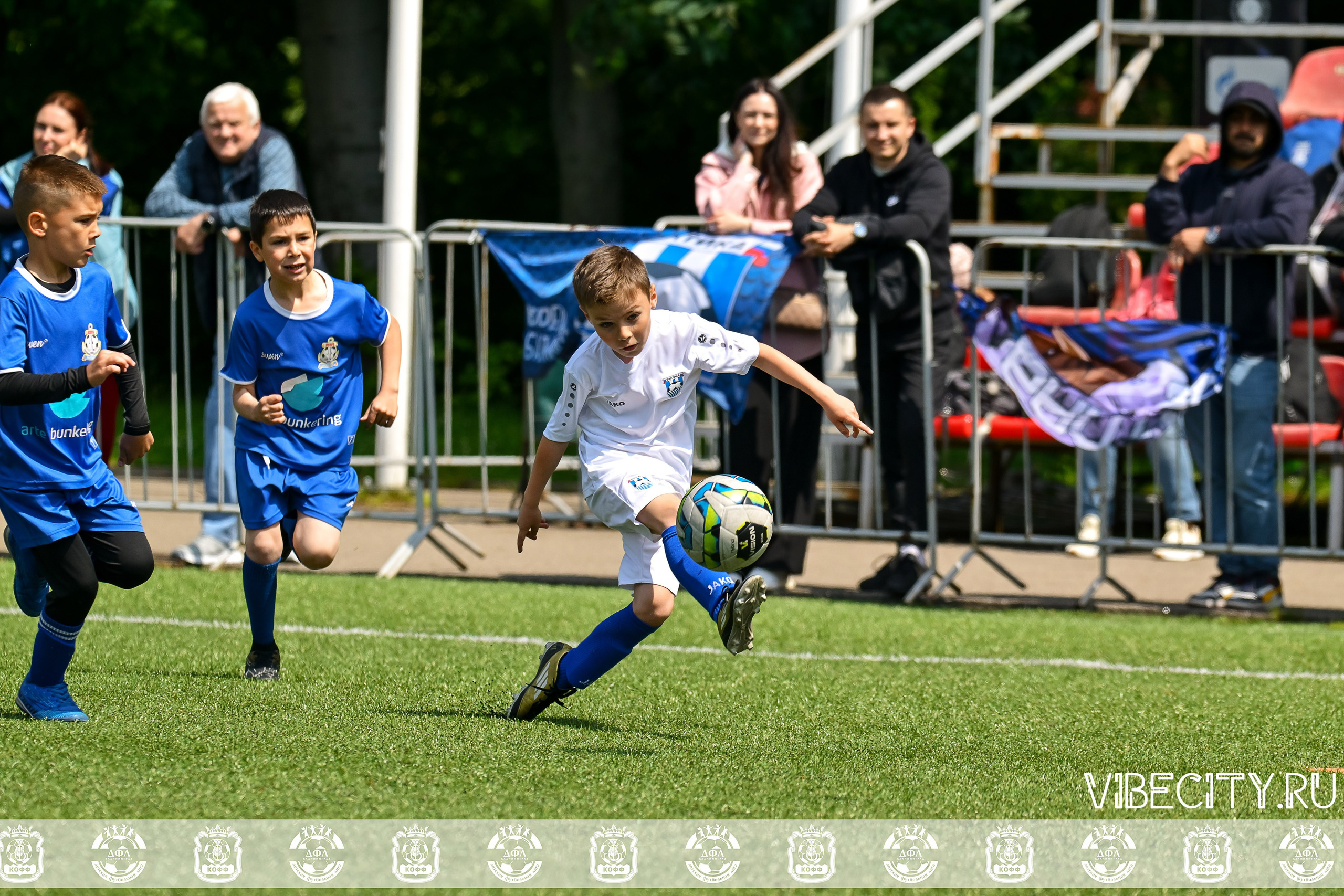 Большие Звезды светят Малым. VIBECITY.RU Вайб Сити Ру Фоторепортажи Фотоотчеты Калининград