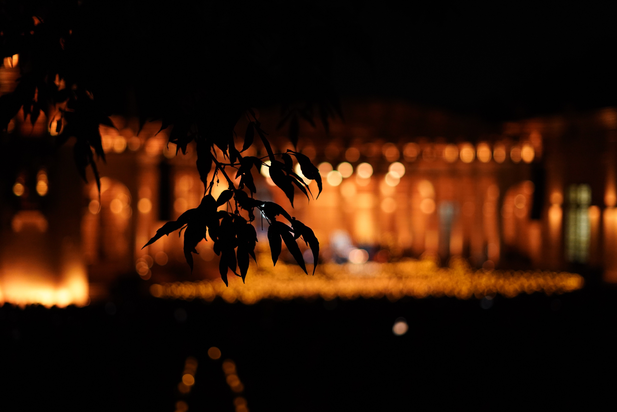 Luminary. Фотограф Гвоздева Варвара / Москва