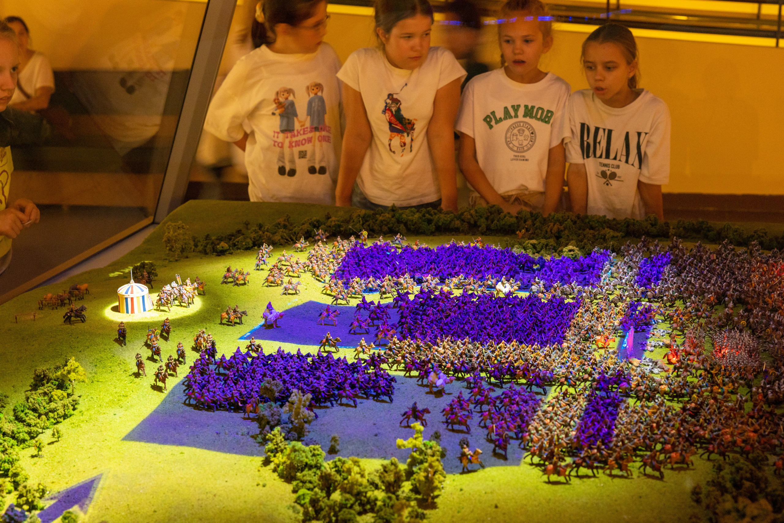 Поездка на поле Кулеково. Фотограф в Туле Крупский АнДРей. Фотостудия «КАДР71» в Туле