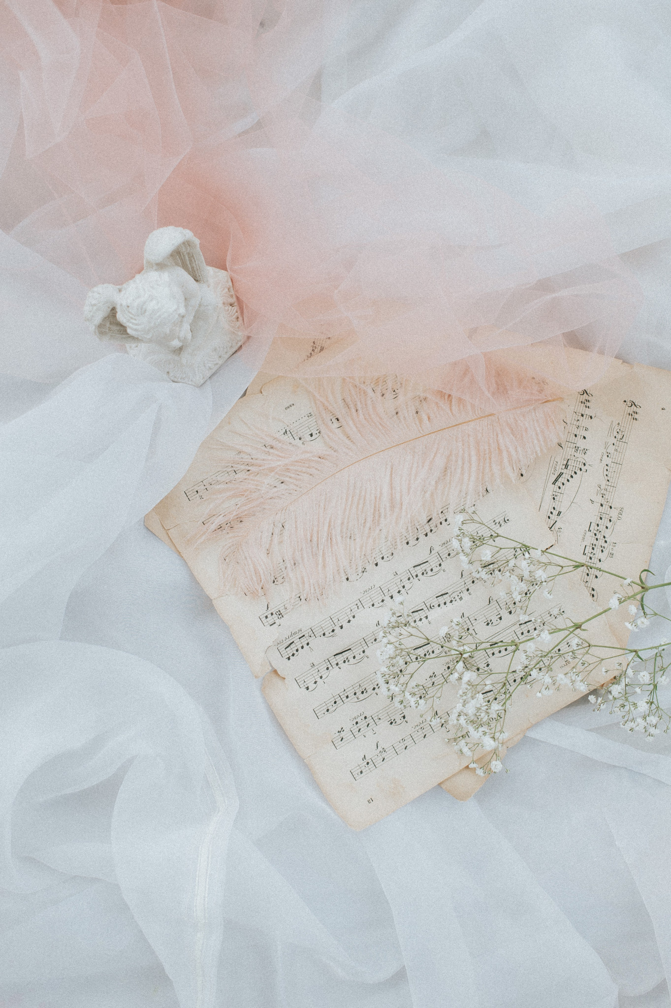 NASTYA. Профессиональный репортажный, коммерческий фотограф в Санкт-Петербурге