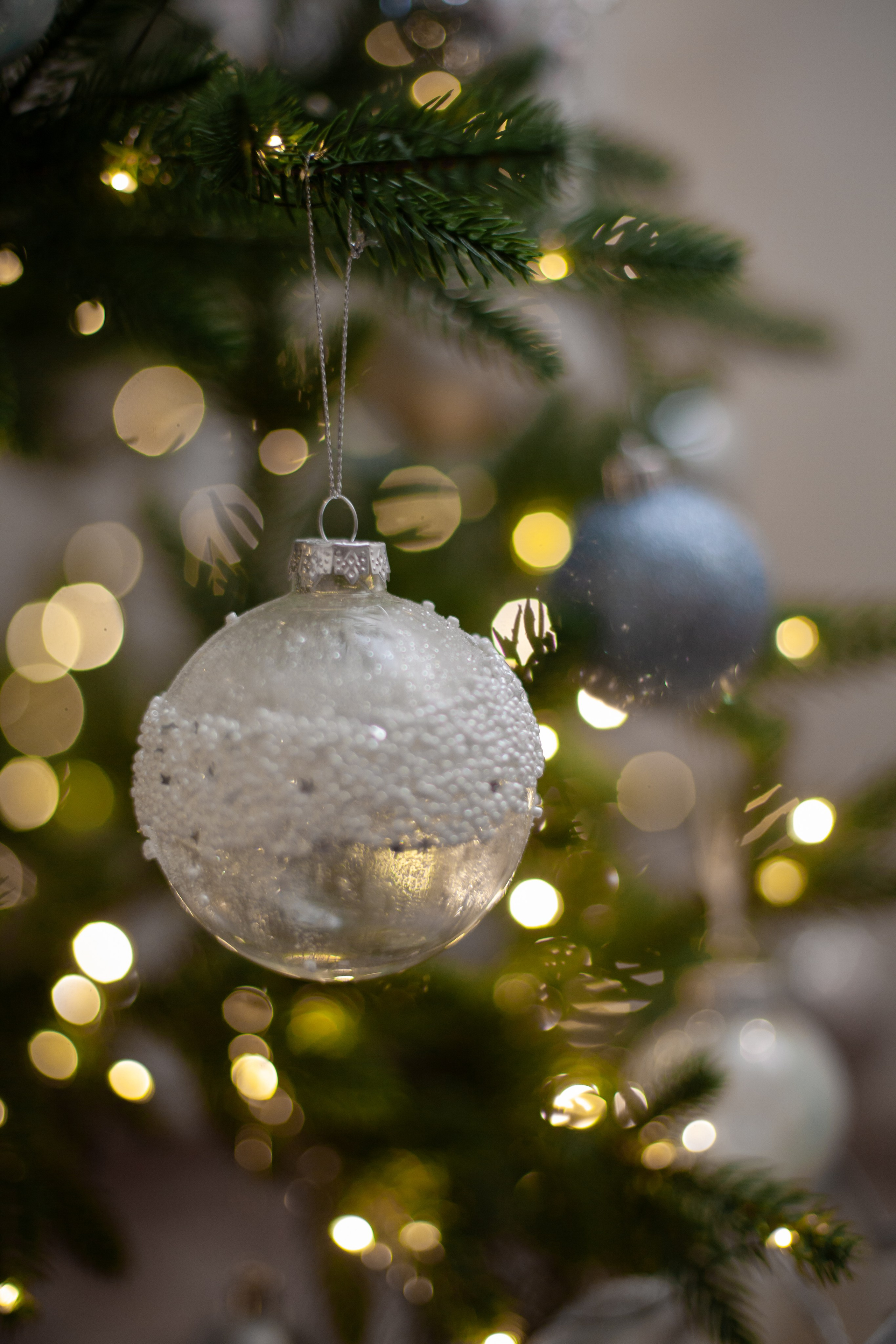 Домашняя. Фотограф в Томске Евгения Гуляева