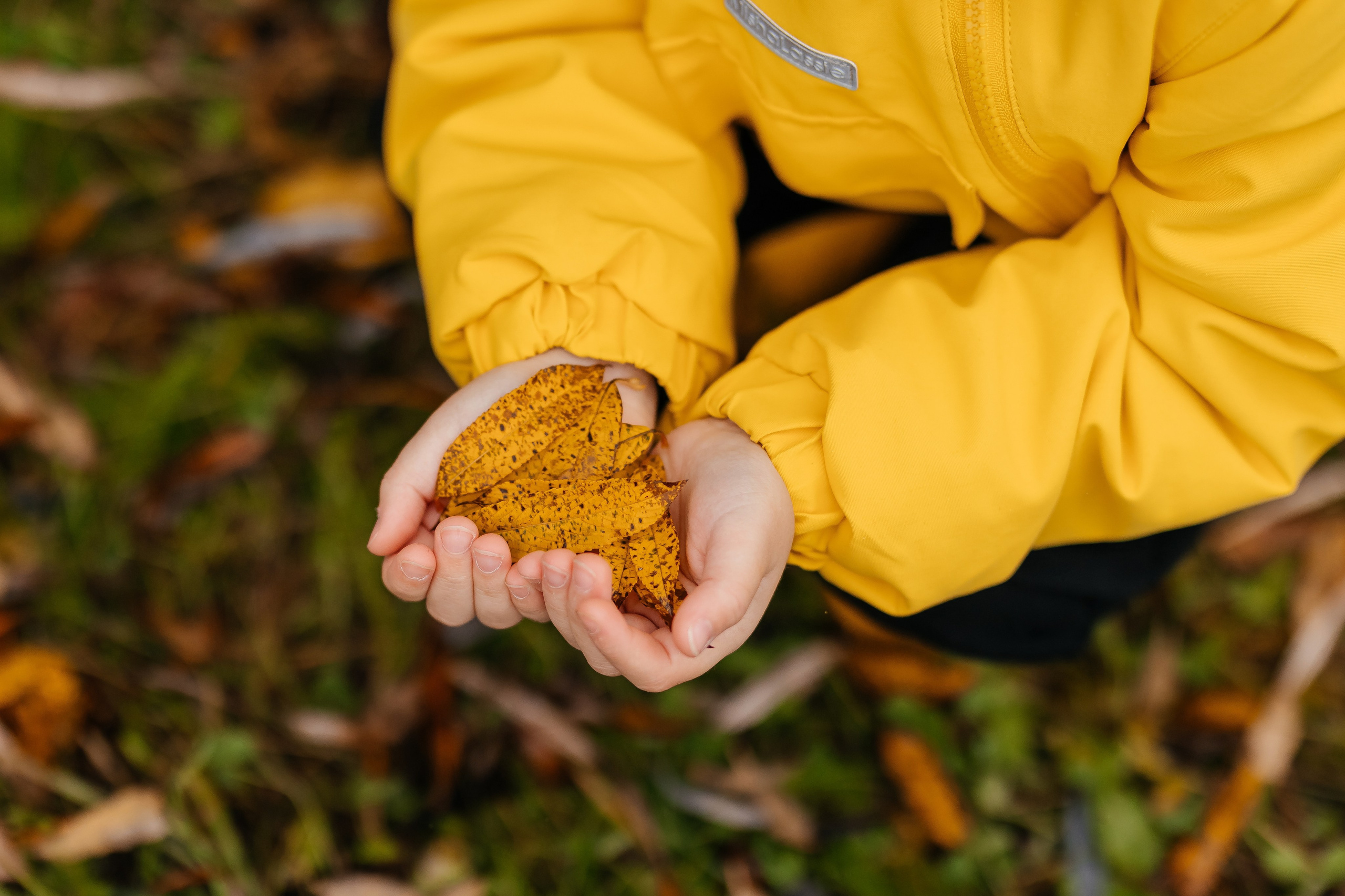 Детские. Фотограф Облучье