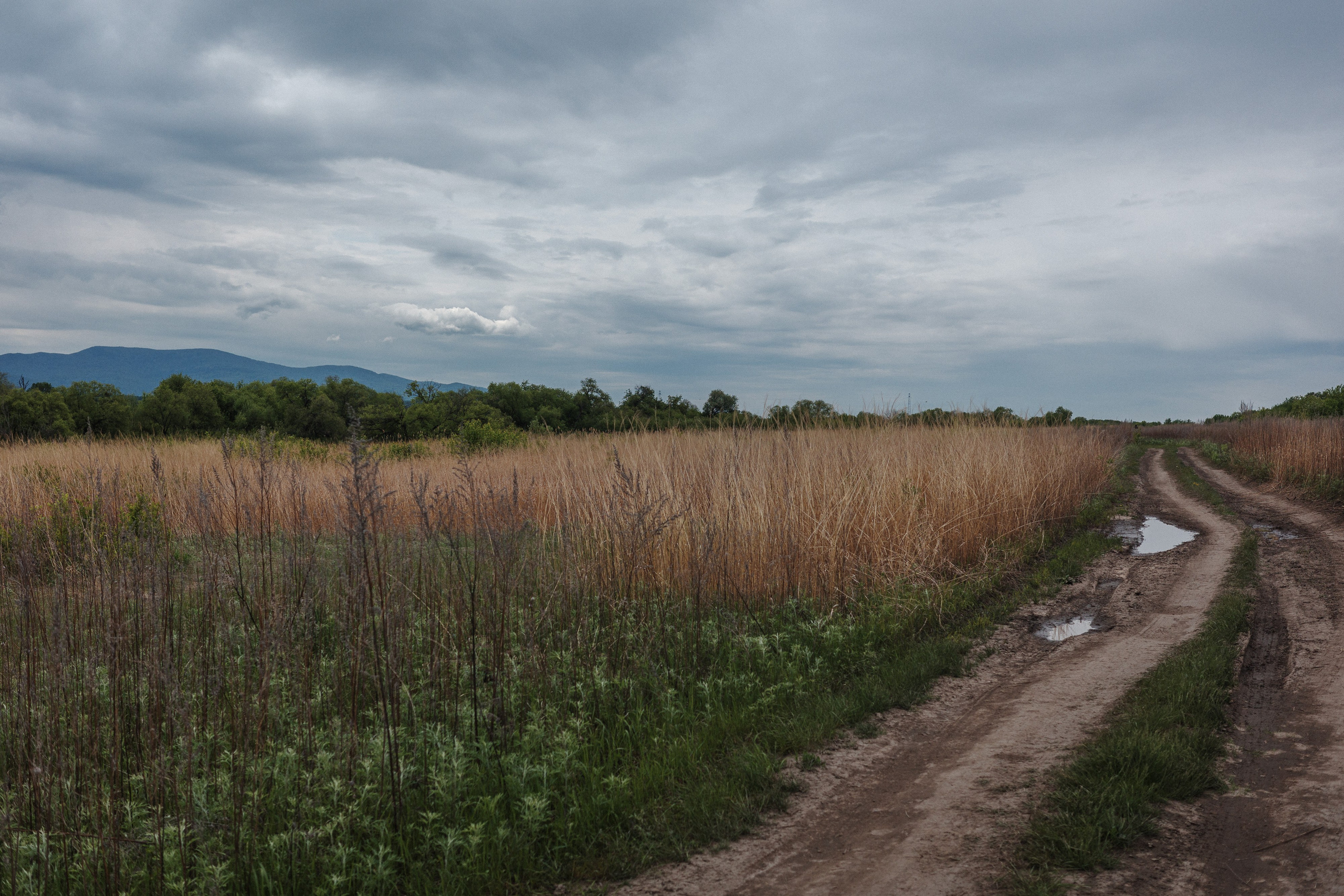 С Димой Уссурийский остров. Фото журналист