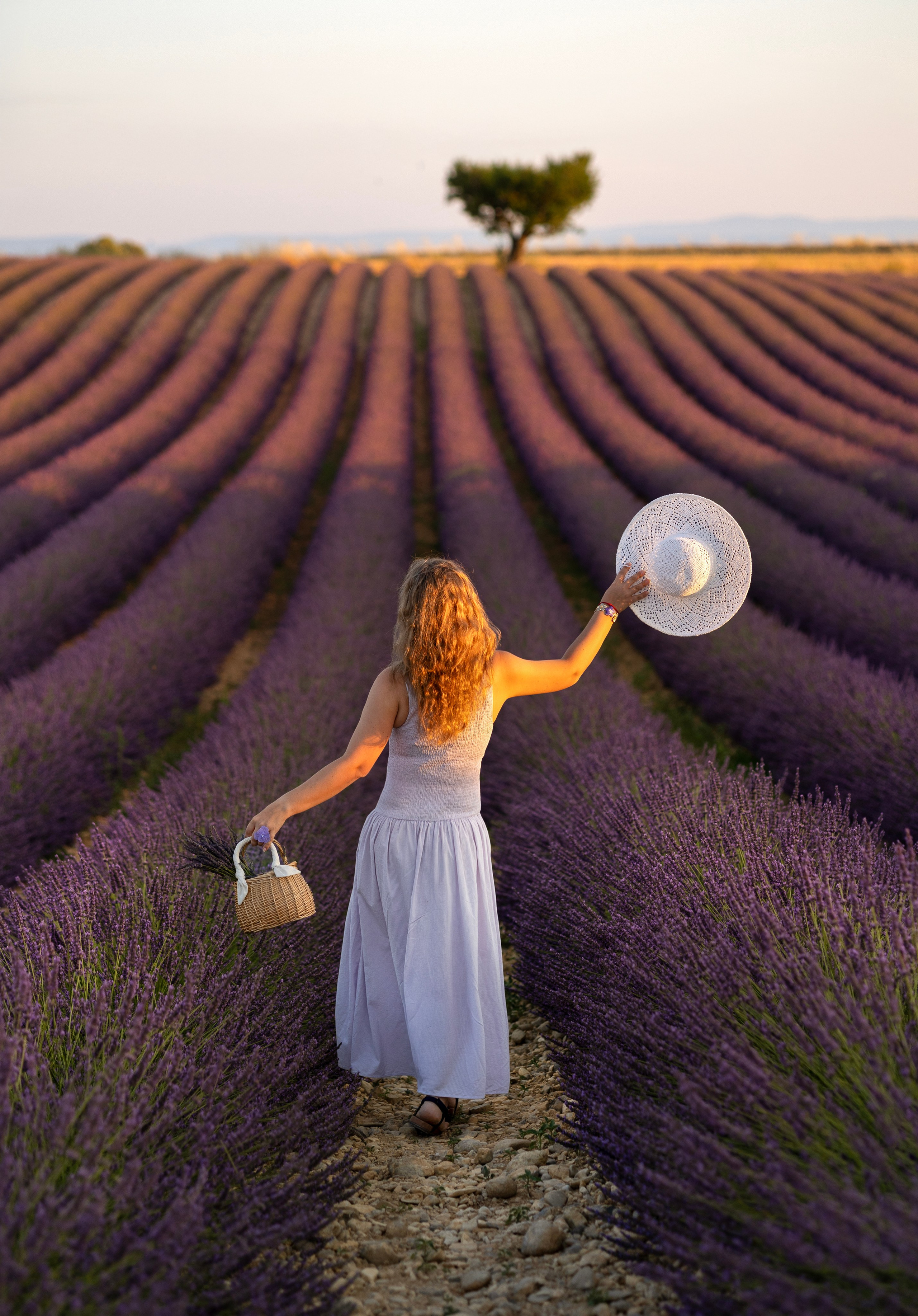 Provence. Фотограф в Мюнхене