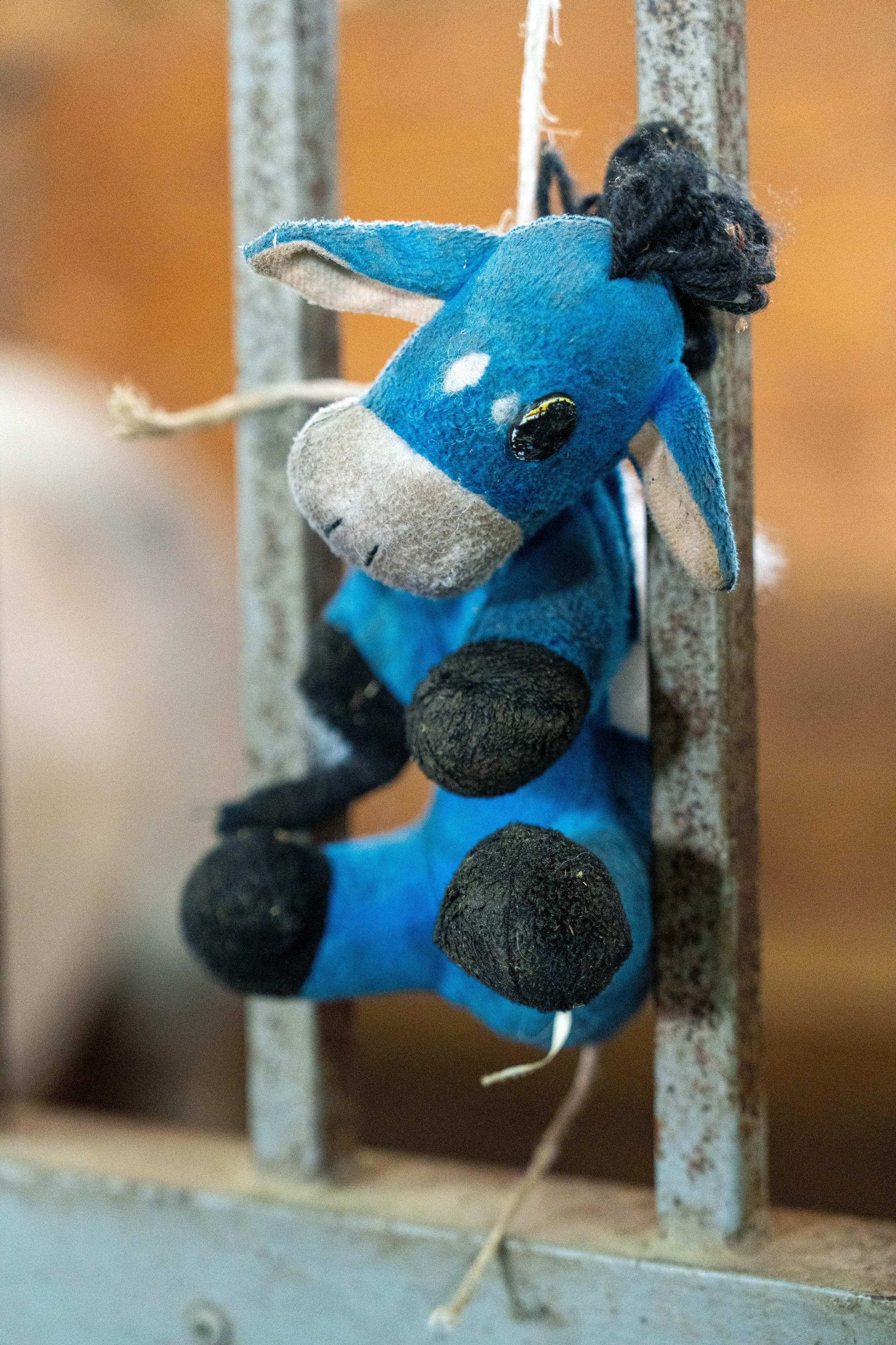 MICE мероприятие на ферме Экзархо. Репортажный фотограф в Красной Поляне и Сочи Павлюченко Екатерина