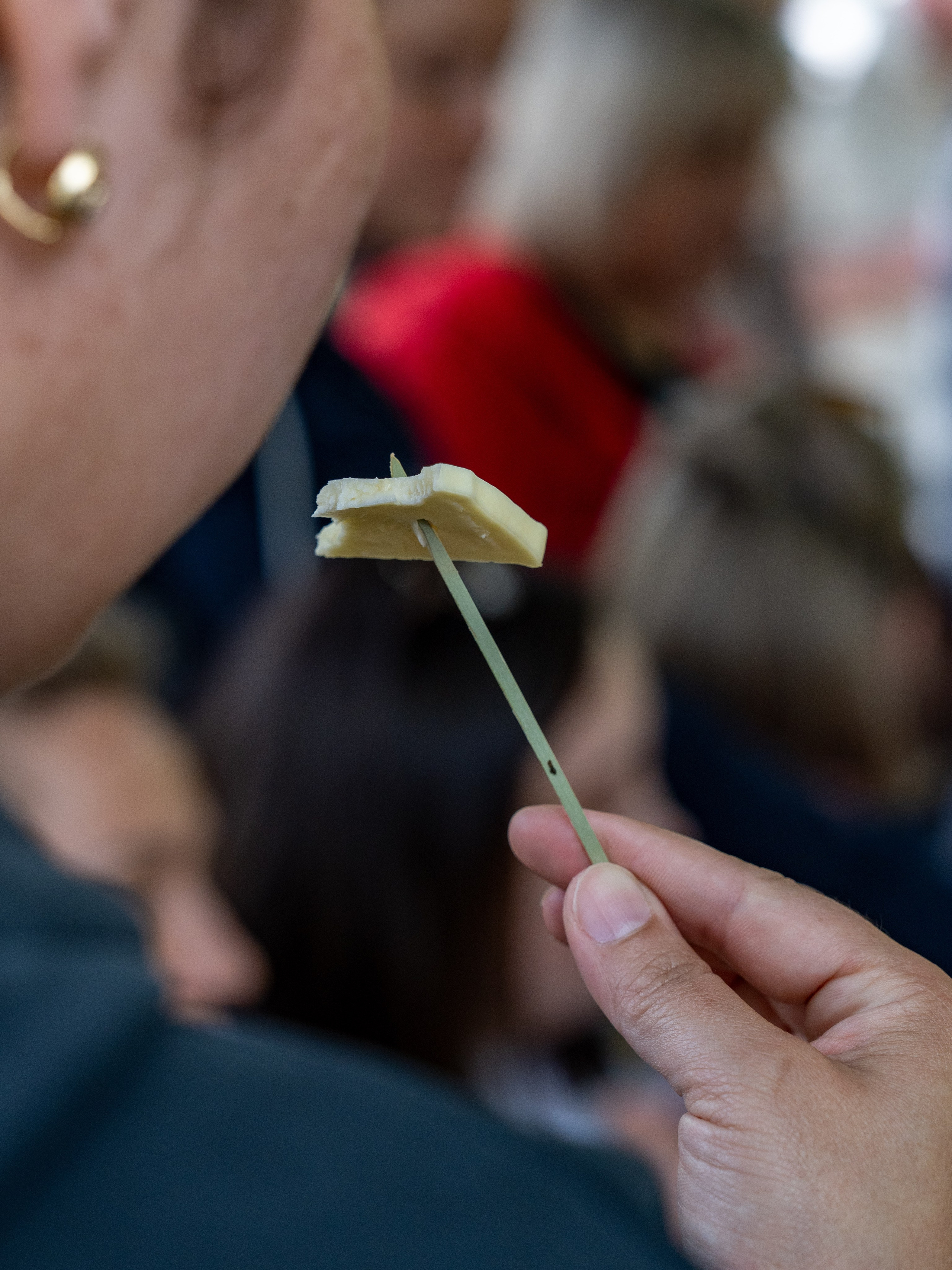 MICE мероприятие — джиппинг на каньон Псахо. Репортажный фотограф в Красной Поляне и Сочи Павлюченко Екатерина