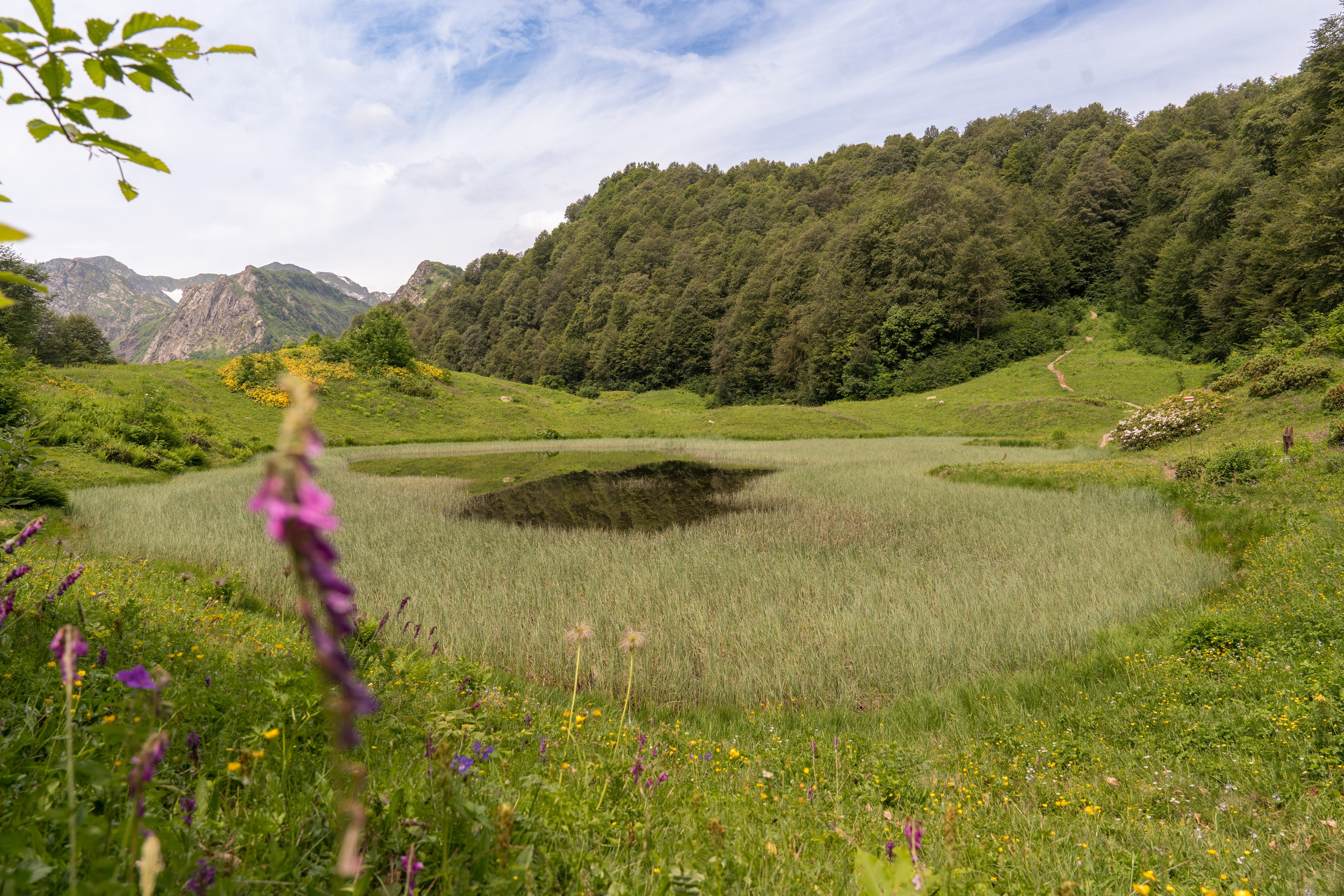 MICE мероприятие для компании «Доставка морем»: хайкинг к Ачипсинским водопадам. Репортажный фотограф в Красной Поляне и Сочи Павлюченко Екатерина