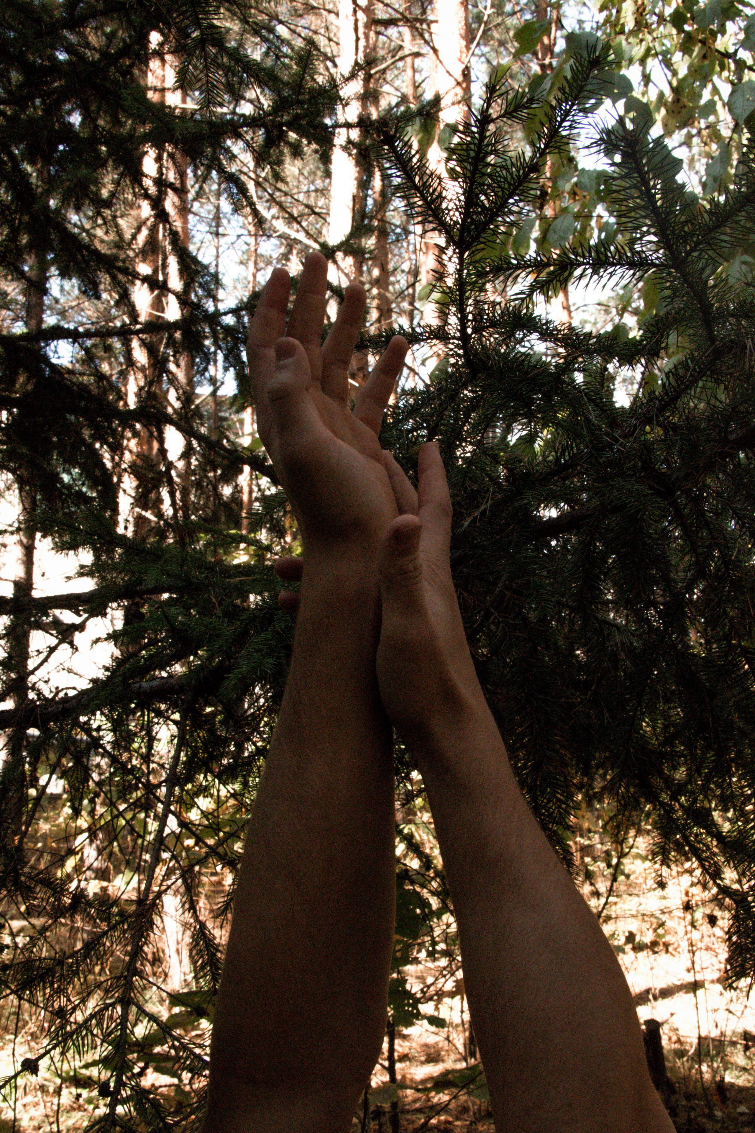 Forest. Блиновская Дарья|Арт-фотограф