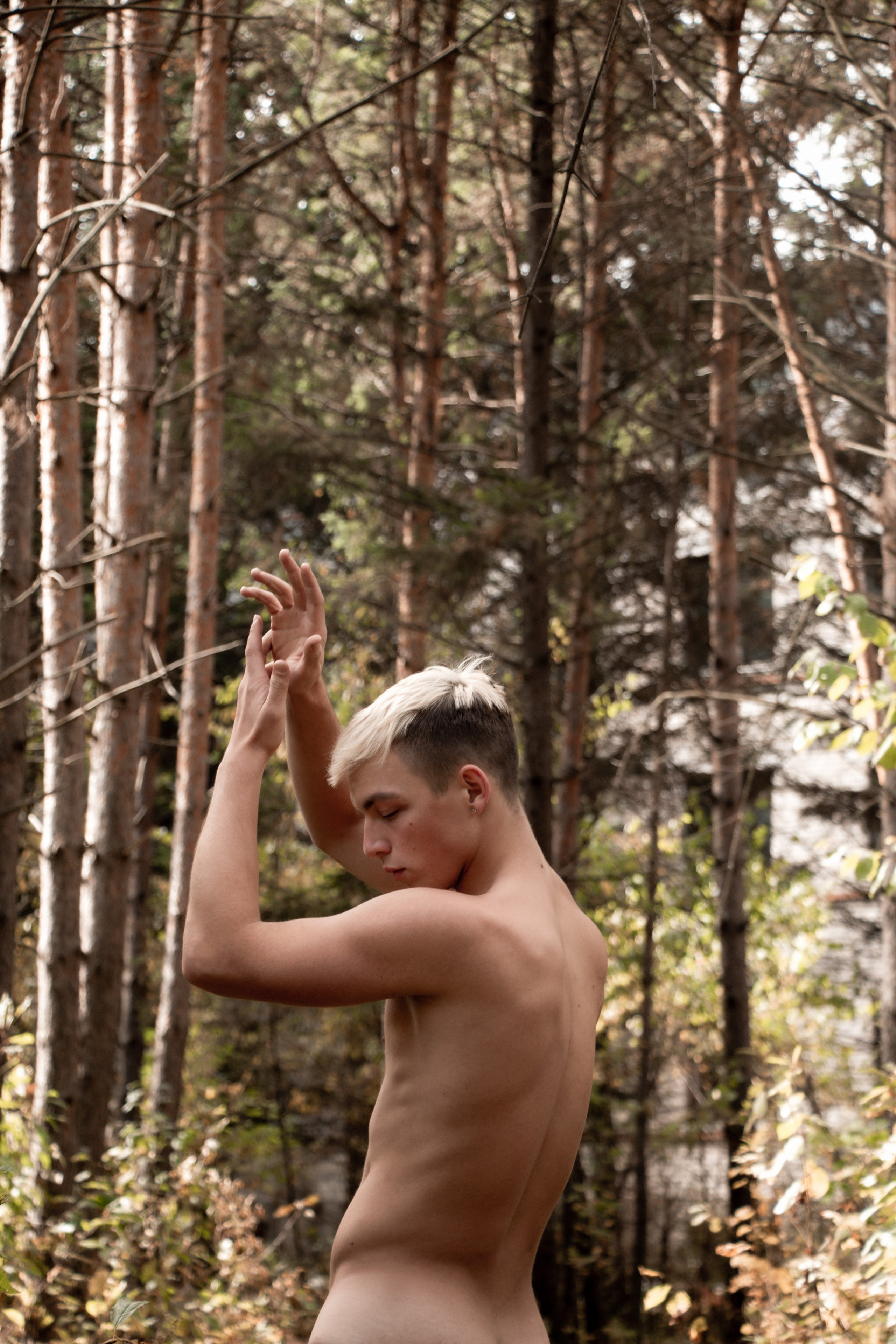 Forest. Блиновская Дарья|Арт-фотограф