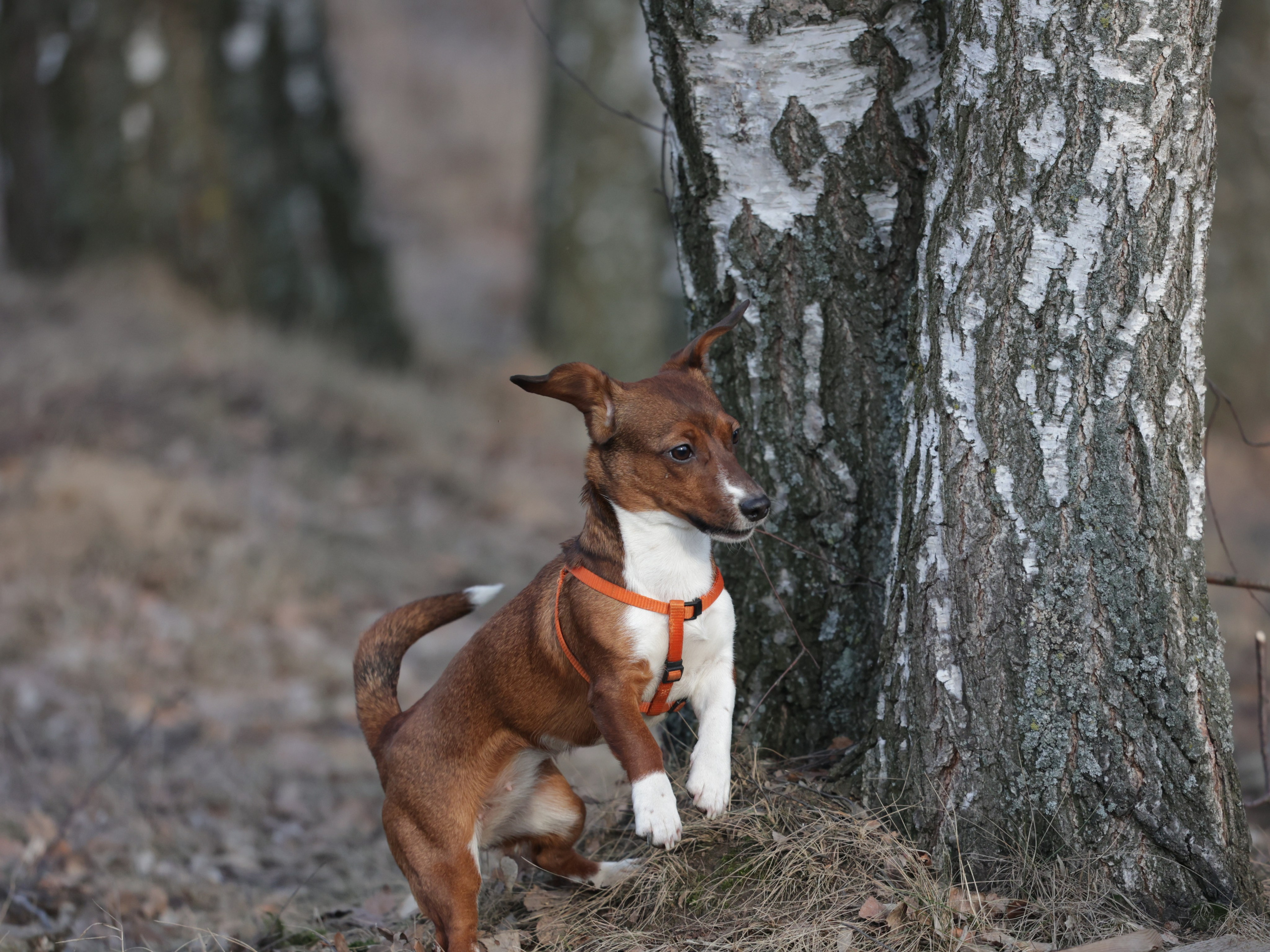 Мия. Фотограф для маркетплейсов, фотоуслуги в Жуковском Татьяна Марсуверских