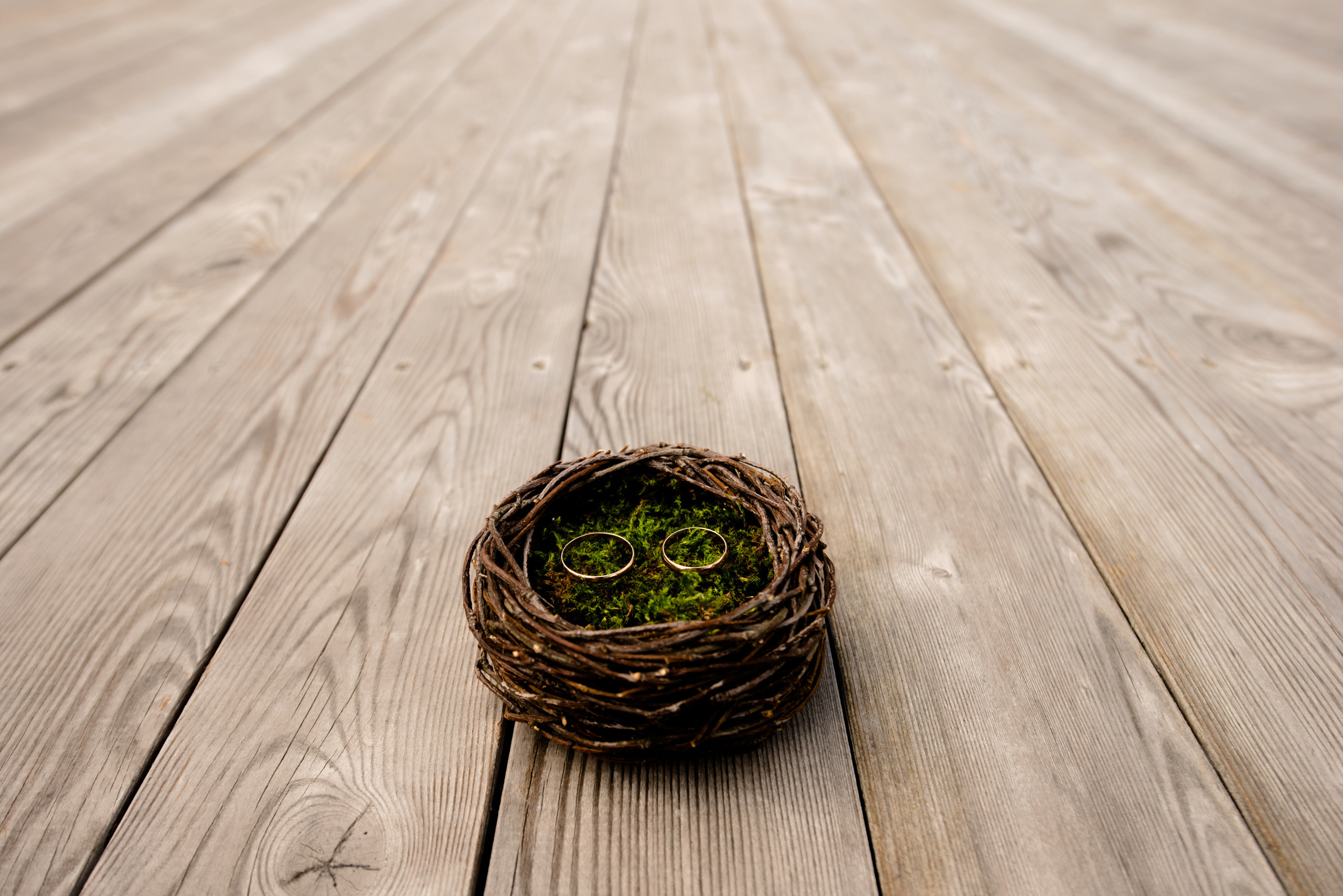 Галерея. Фотограф Микита Ласица