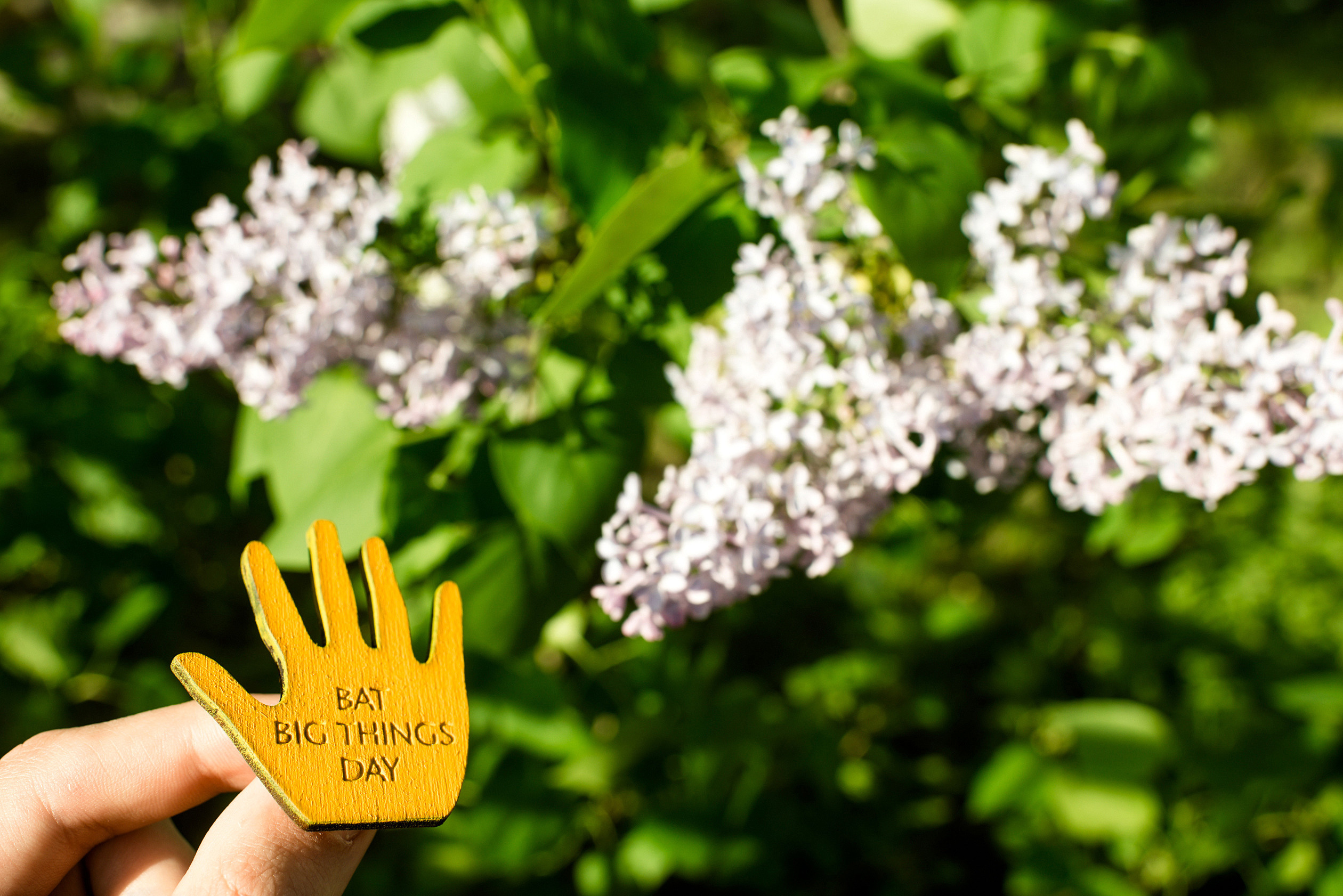 2019 год разное. Фотограф Микита Ласица