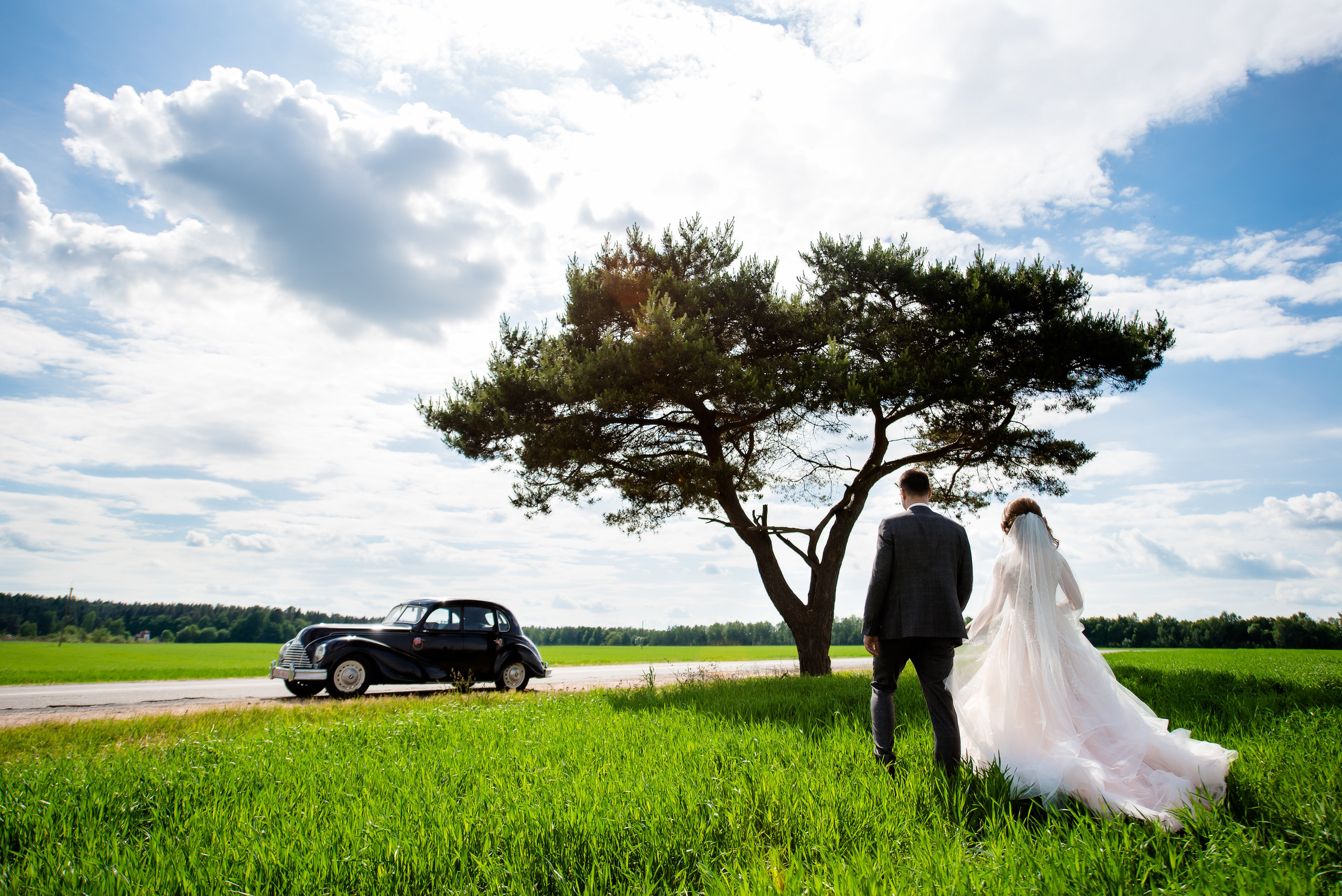 Галерея. Фотограф Микита Ласица
