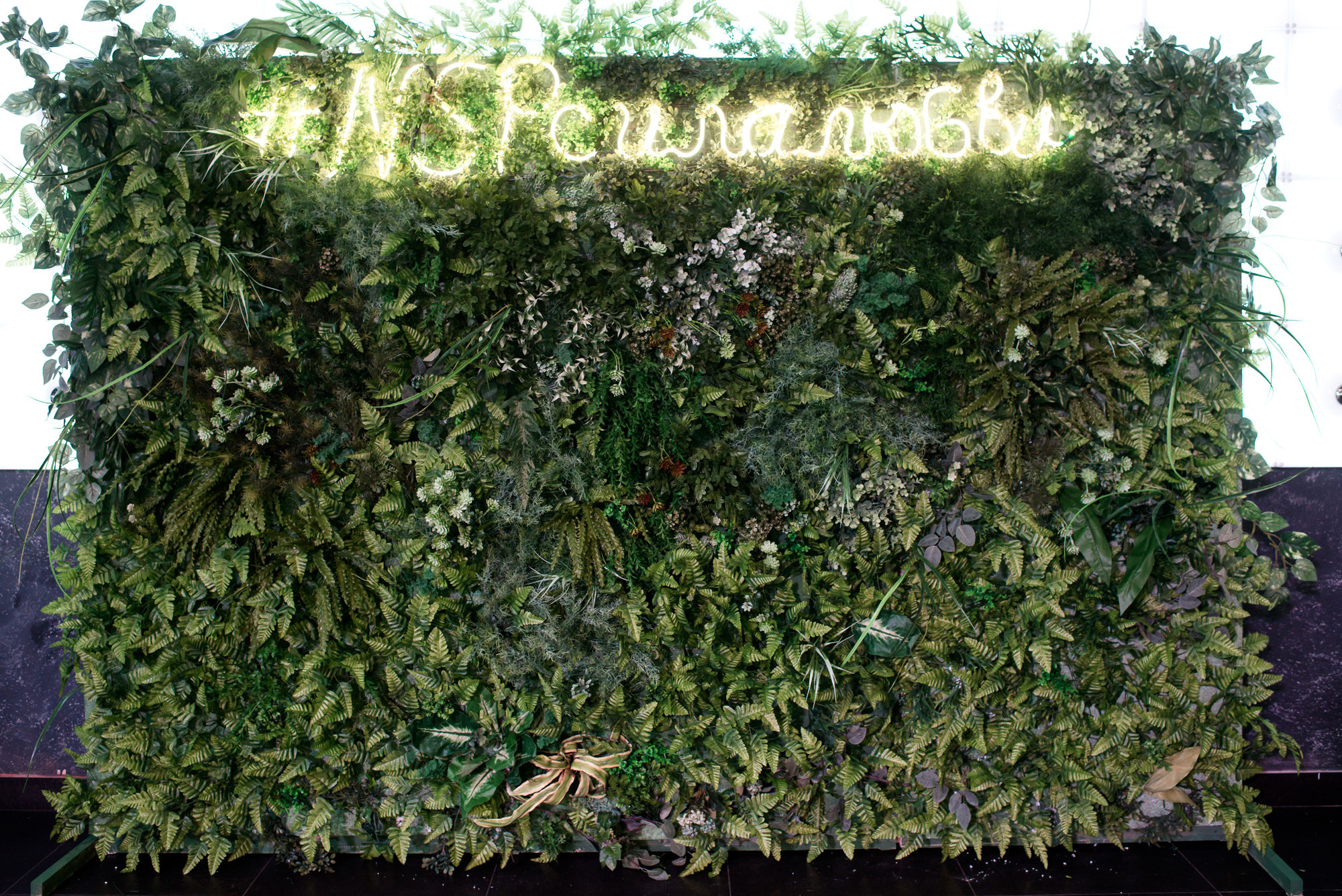 Корпоратив «NSP» (Nature’s Sunshine Products). Фотограф Микита Ласица