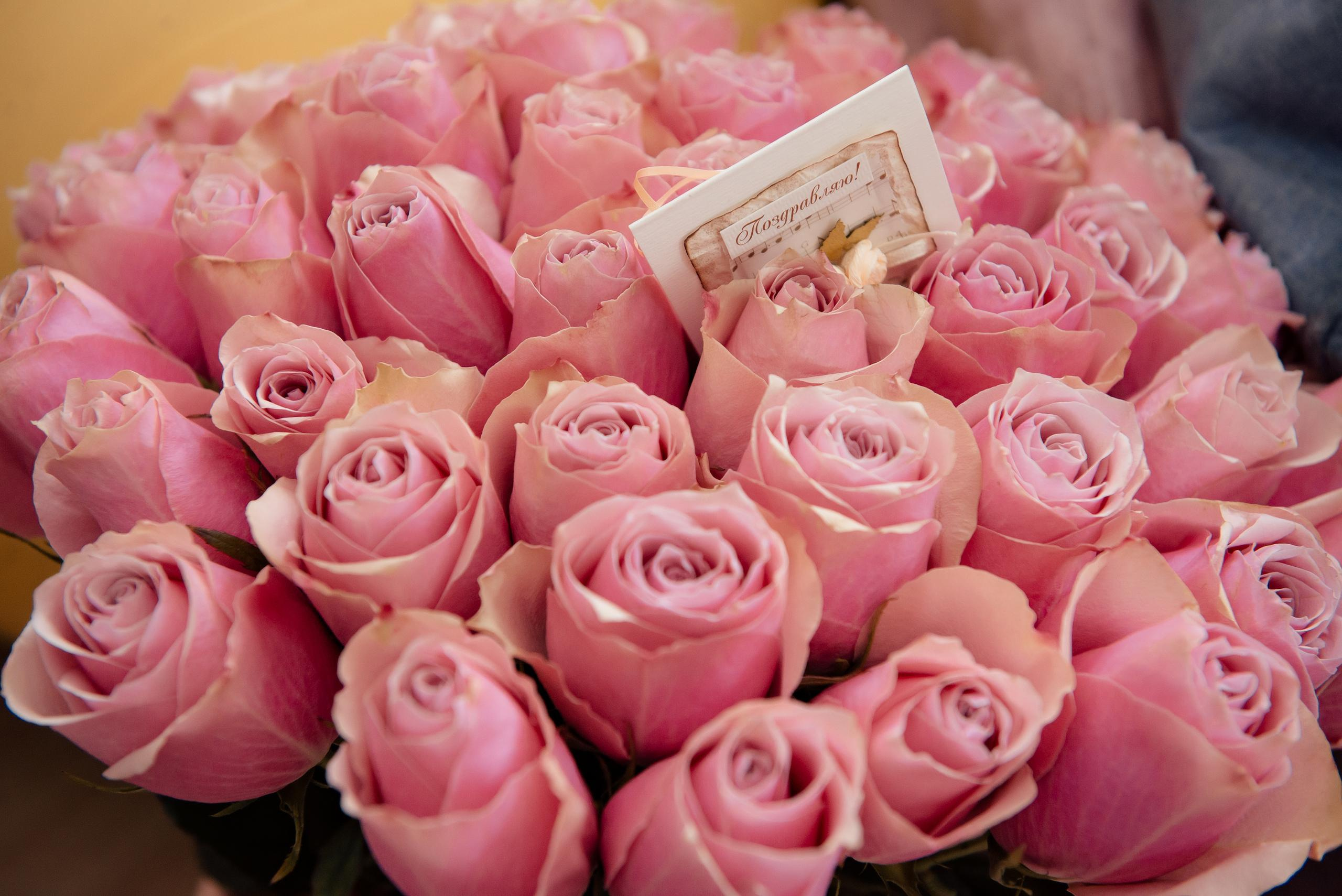 Артем & Анастасия. Фотограф Микита Ласица