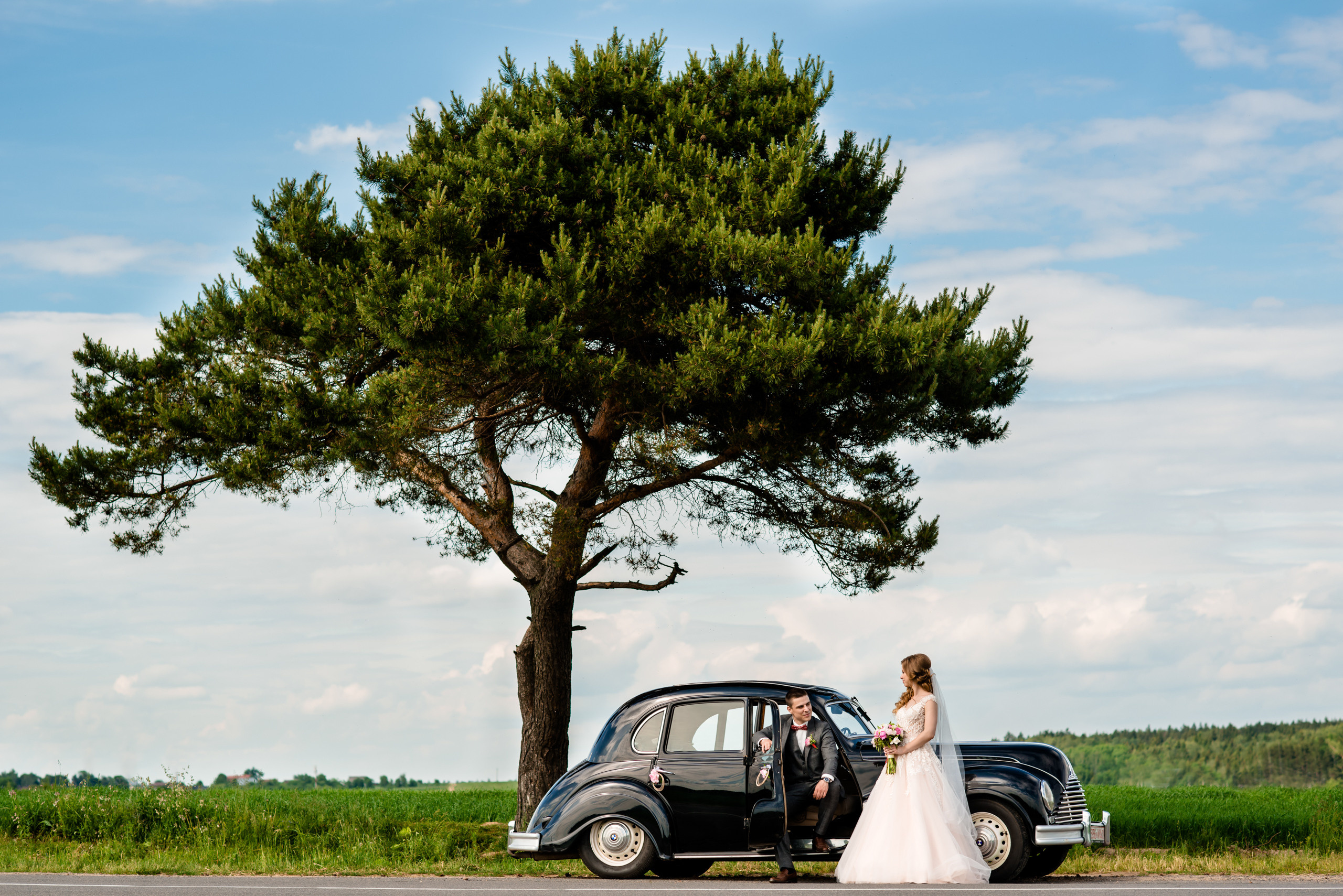 Галерея. Фотограф Микита Ласица
