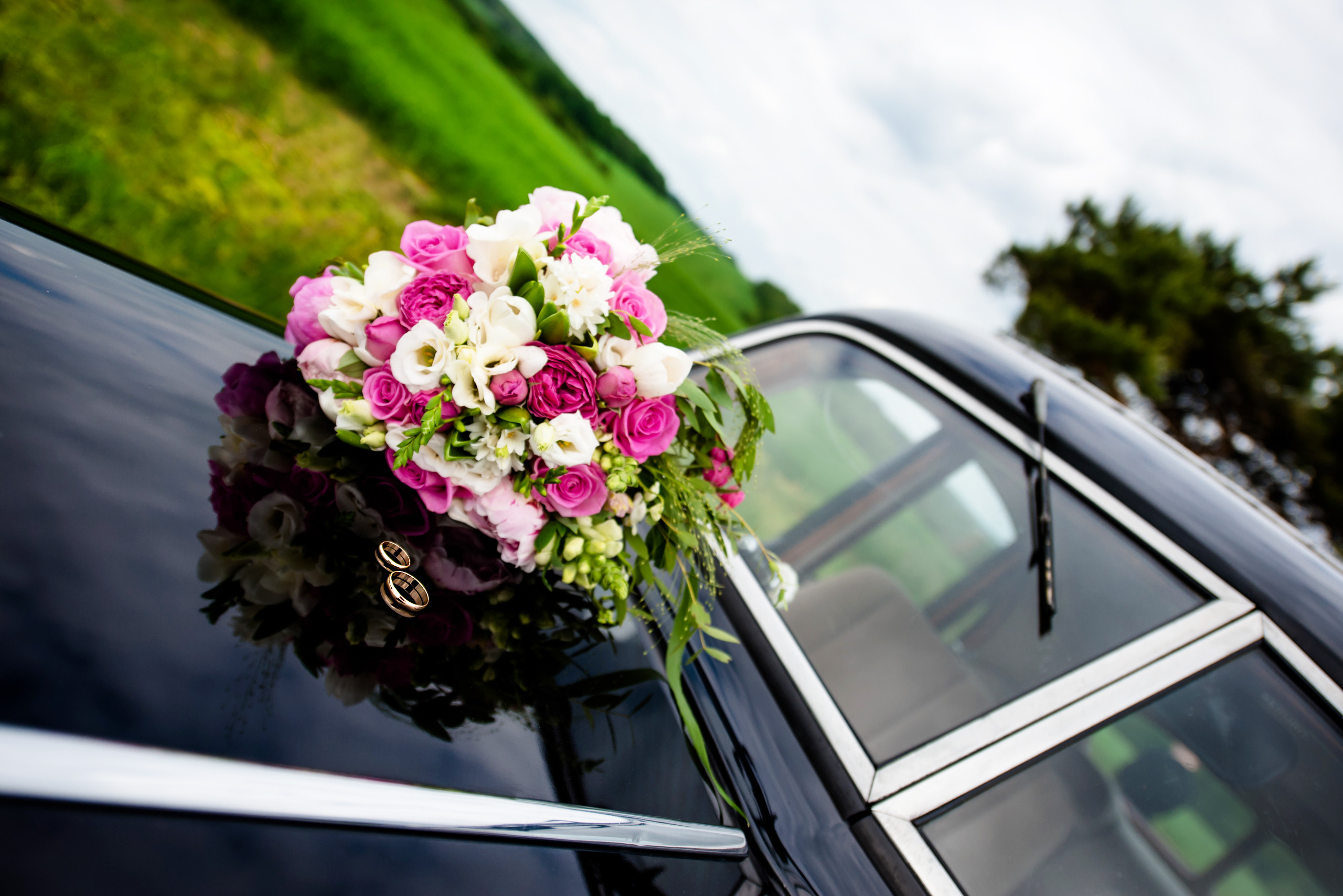Галерея. Фотограф Микита Ласица