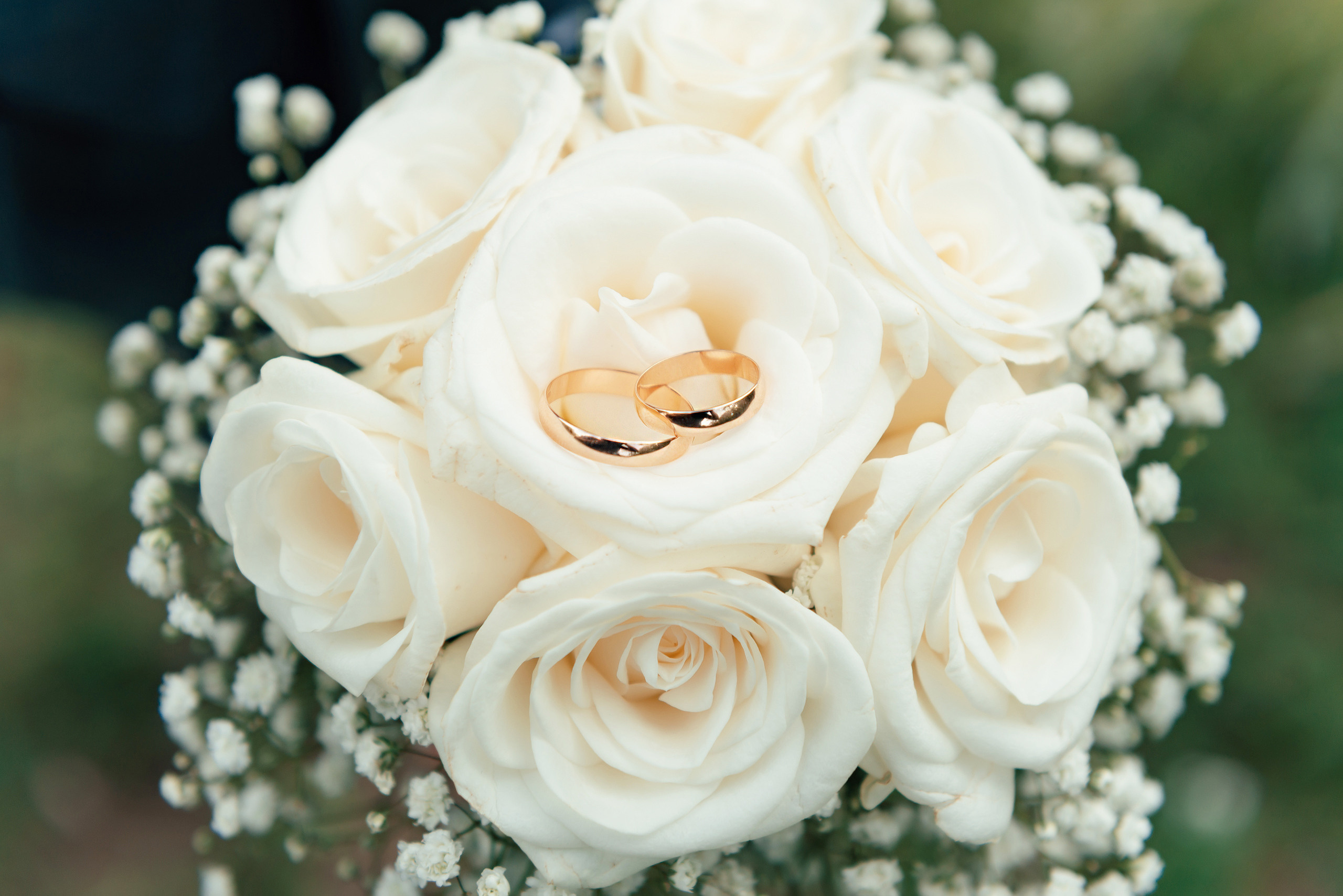 Галерея. Фотограф Микита Ласица