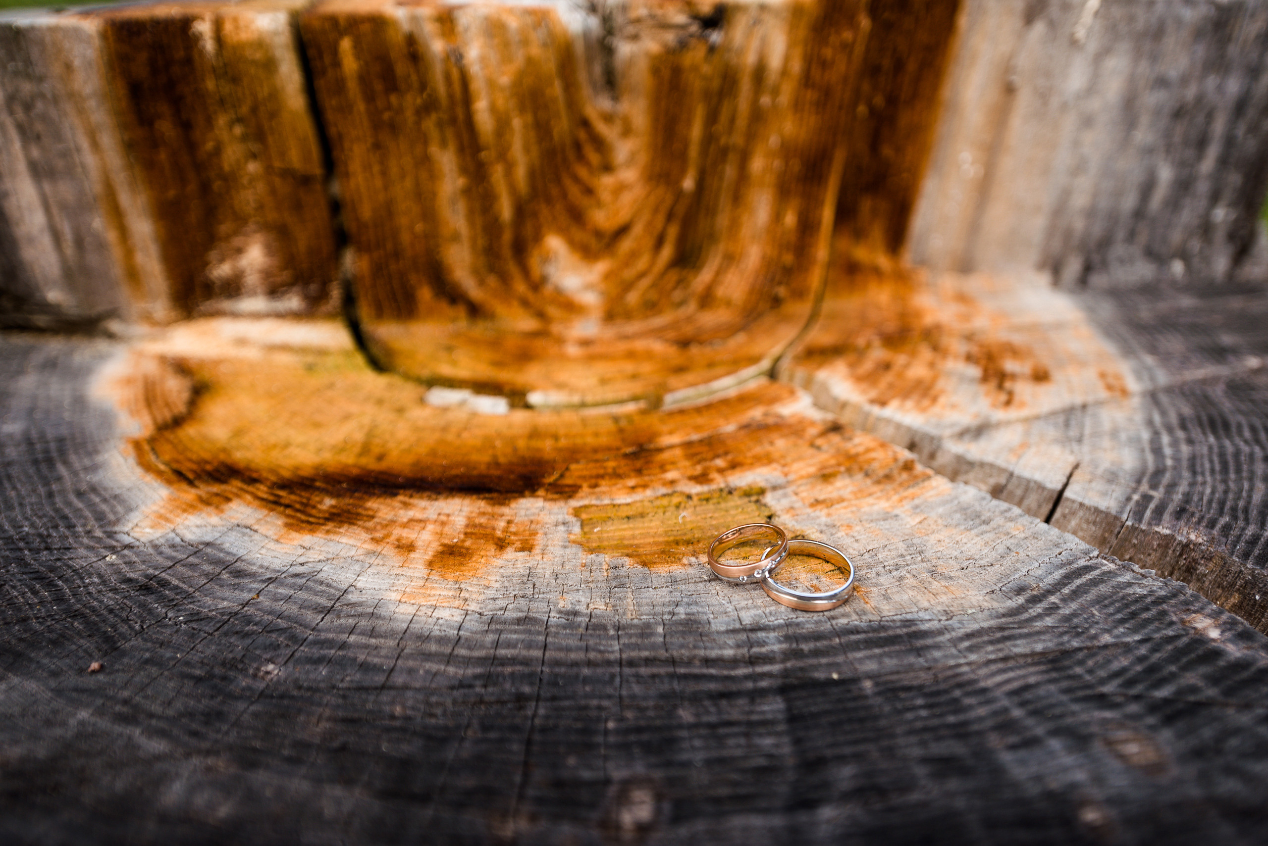 Галерея. Фотограф Микита Ласица