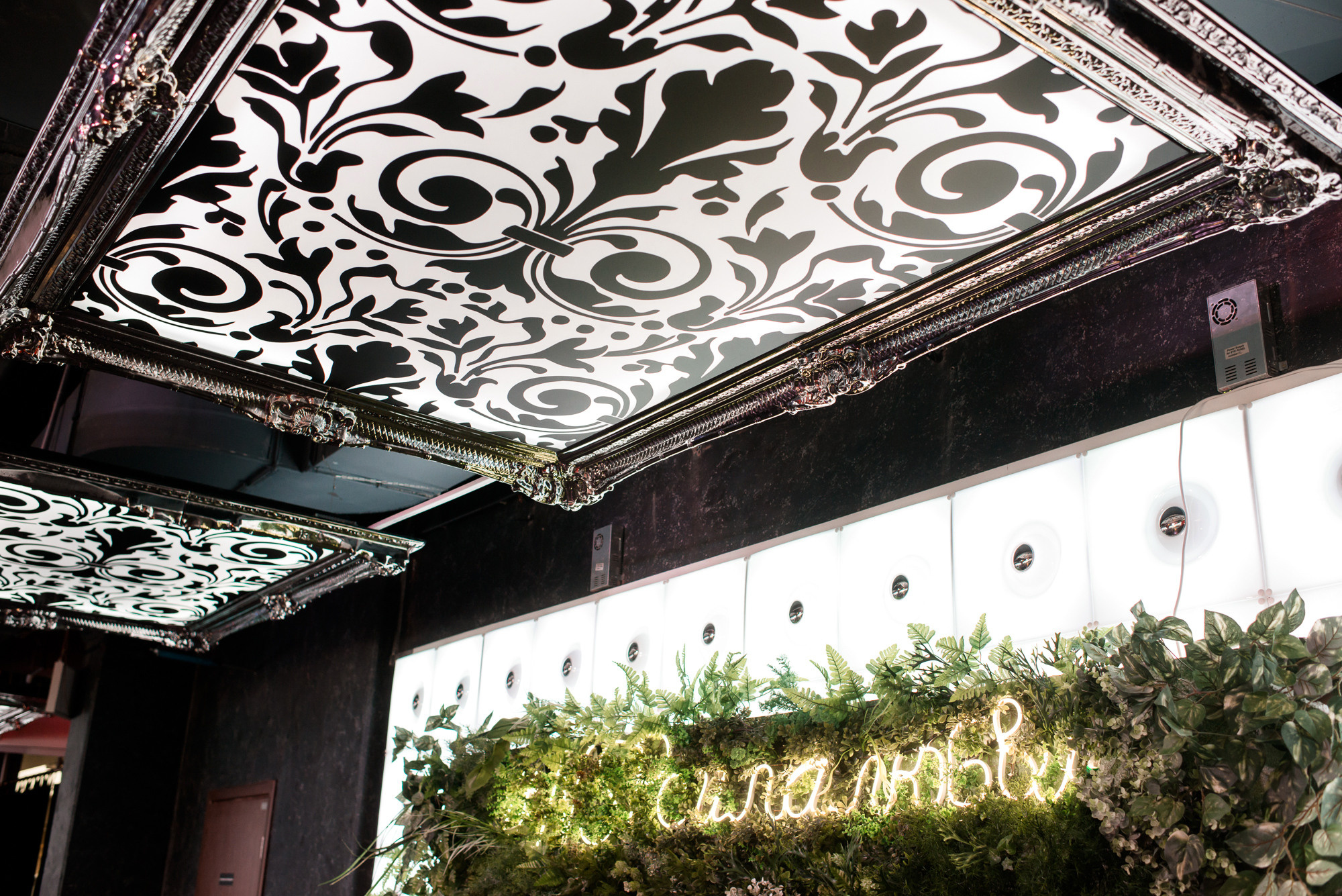 Корпоратив «NSP» (Nature’s Sunshine Products). Фотограф Микита Ласица