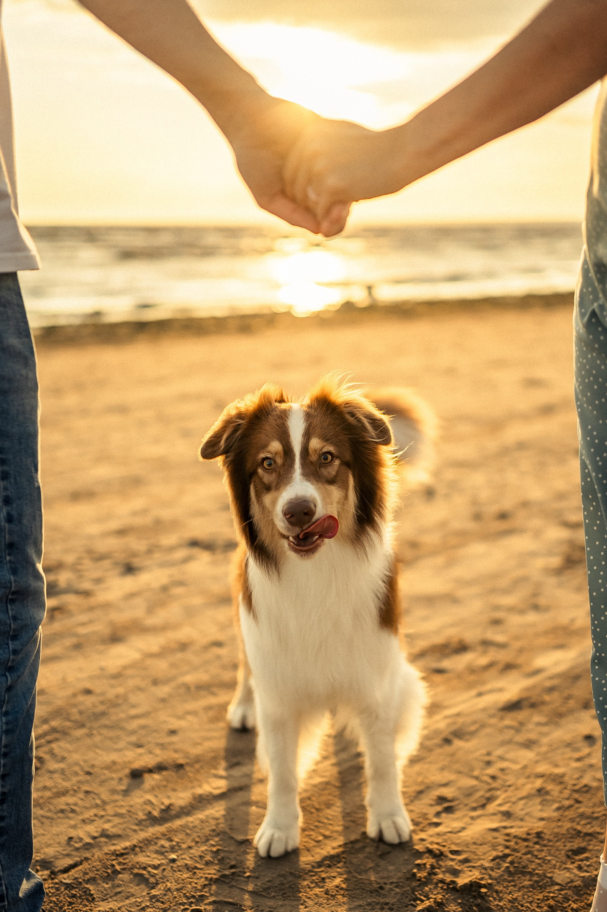 Фотоистории. Анастасия Кузнецова — фотограф в Санкт-Петербурге