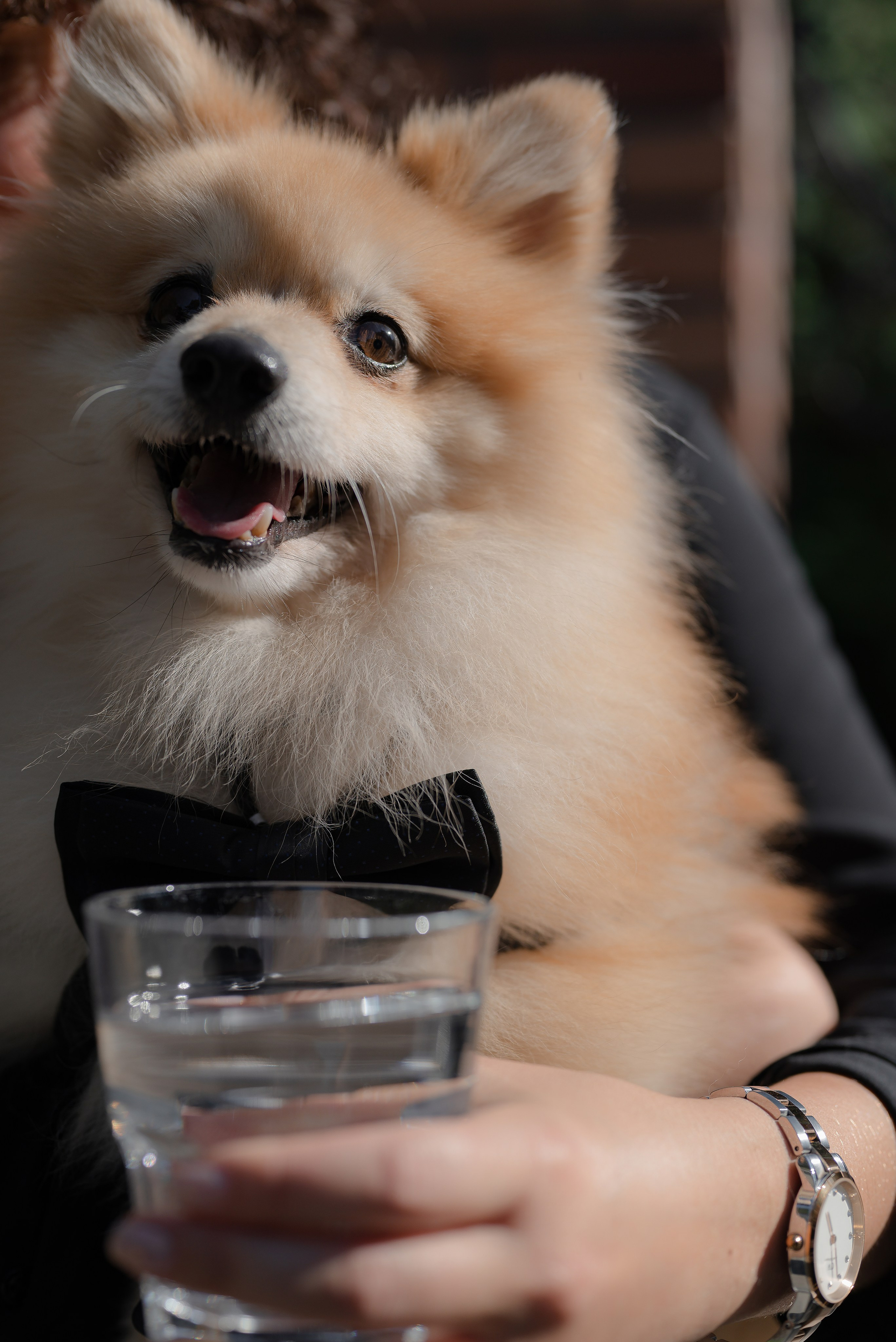 Олег-Лиза — PARK CITY FUSION. Свадебный фотограф Екатеринбург/Челябинск — Любовь Волохова