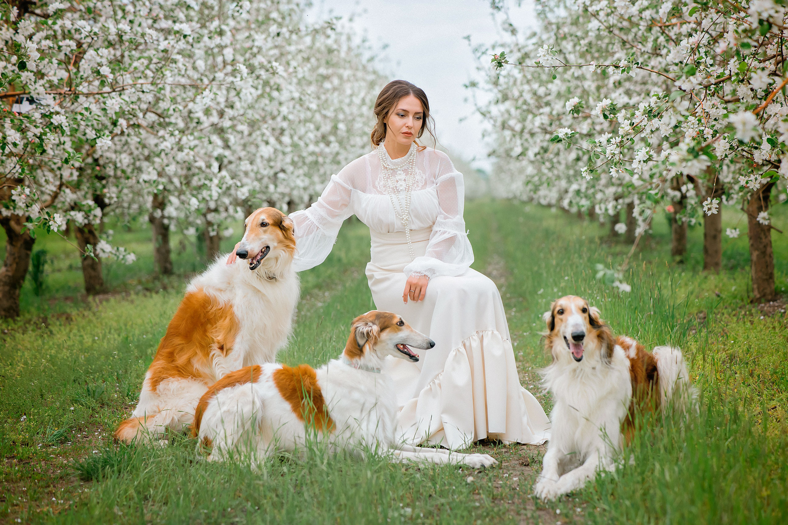 Царская весна. Фотограф в Египте, Хургаде, Луксоре, Сафаге. Фотограф по всему миру