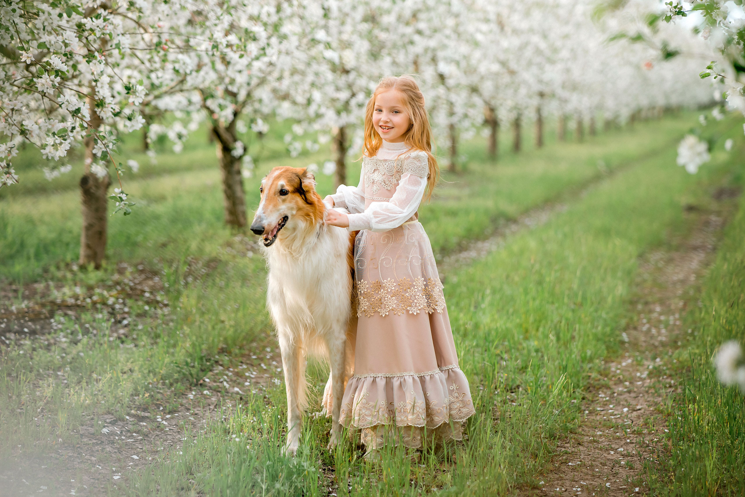 Царская весна. Фотограф в Египте, Хургаде, Луксоре, Сафаге. Фотограф по всему миру