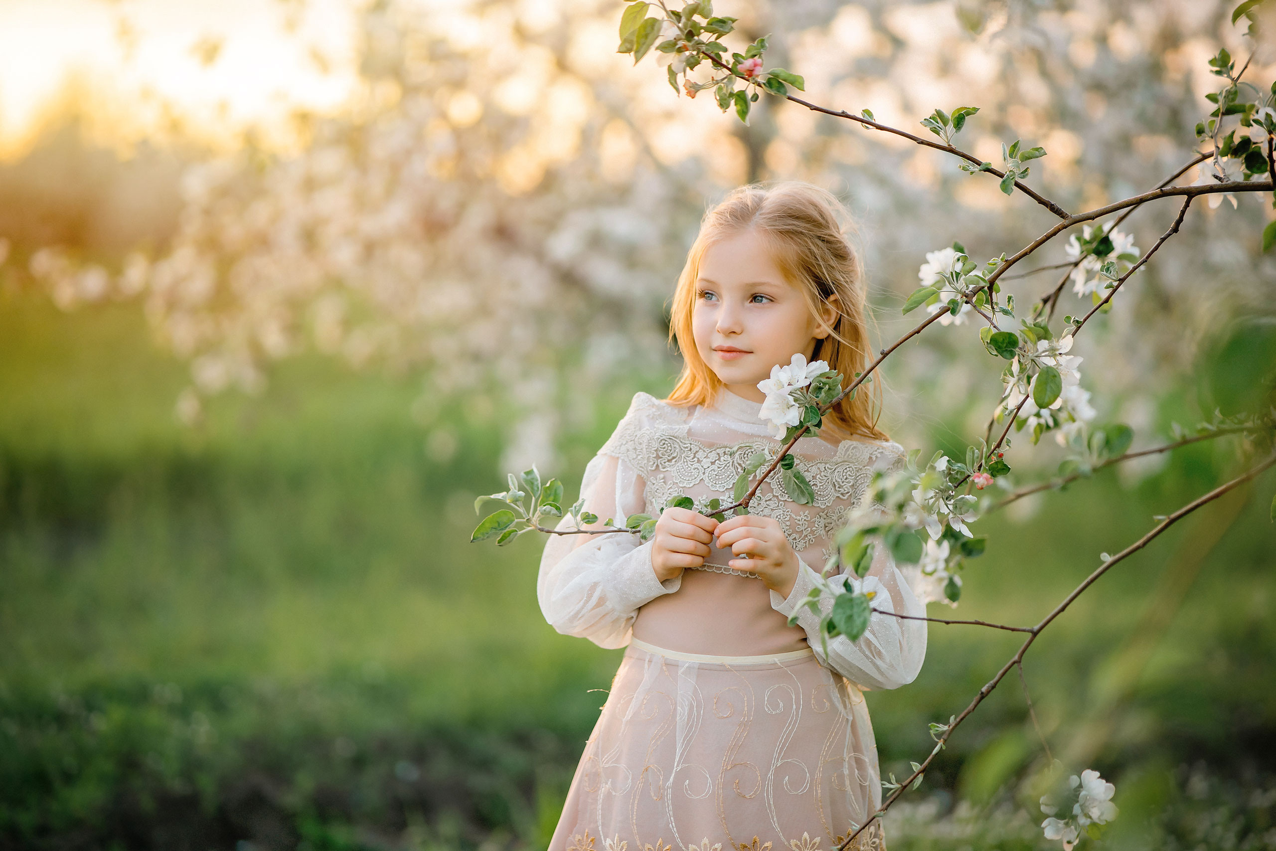 Царская весна. Фотограф в Египте, Хургаде, Луксоре, Сафаге. Фотограф по всему миру