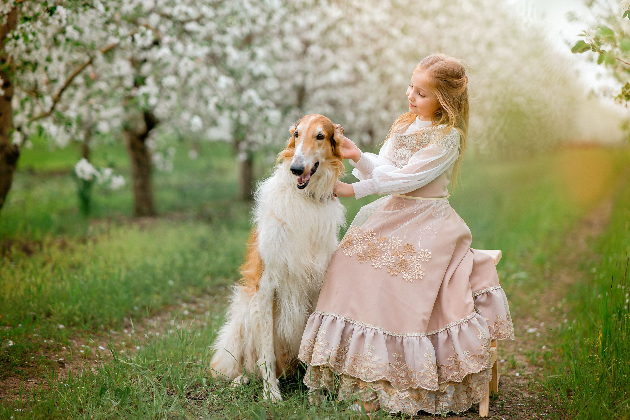 Царская весна. Фотограф в Египте, Хургаде, Луксоре, Сафаге. Фотограф по всему миру
