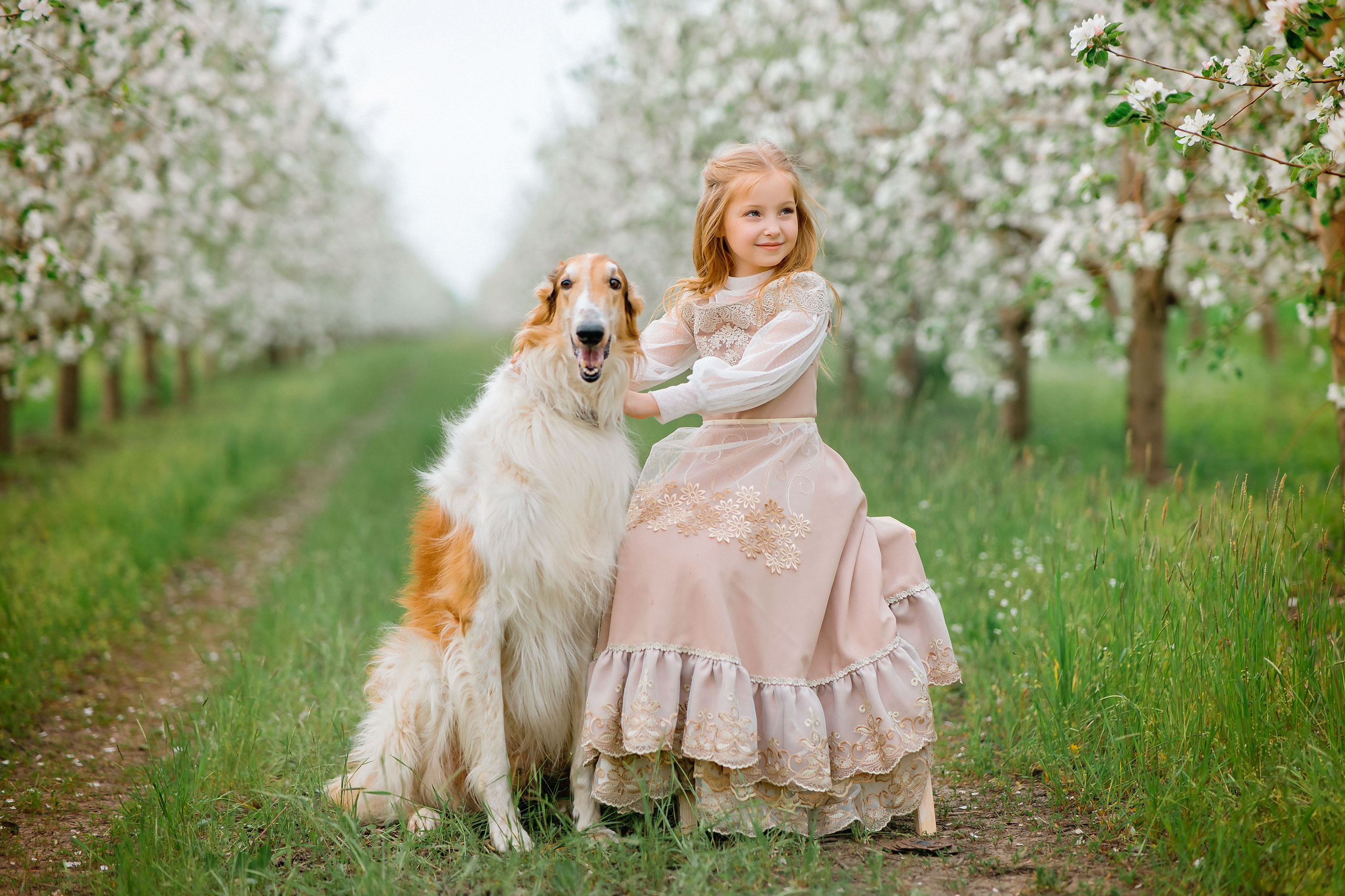 Царская весна. Фотограф в Египте, Хургаде, Луксоре, Сафаге. Фотограф по всему миру