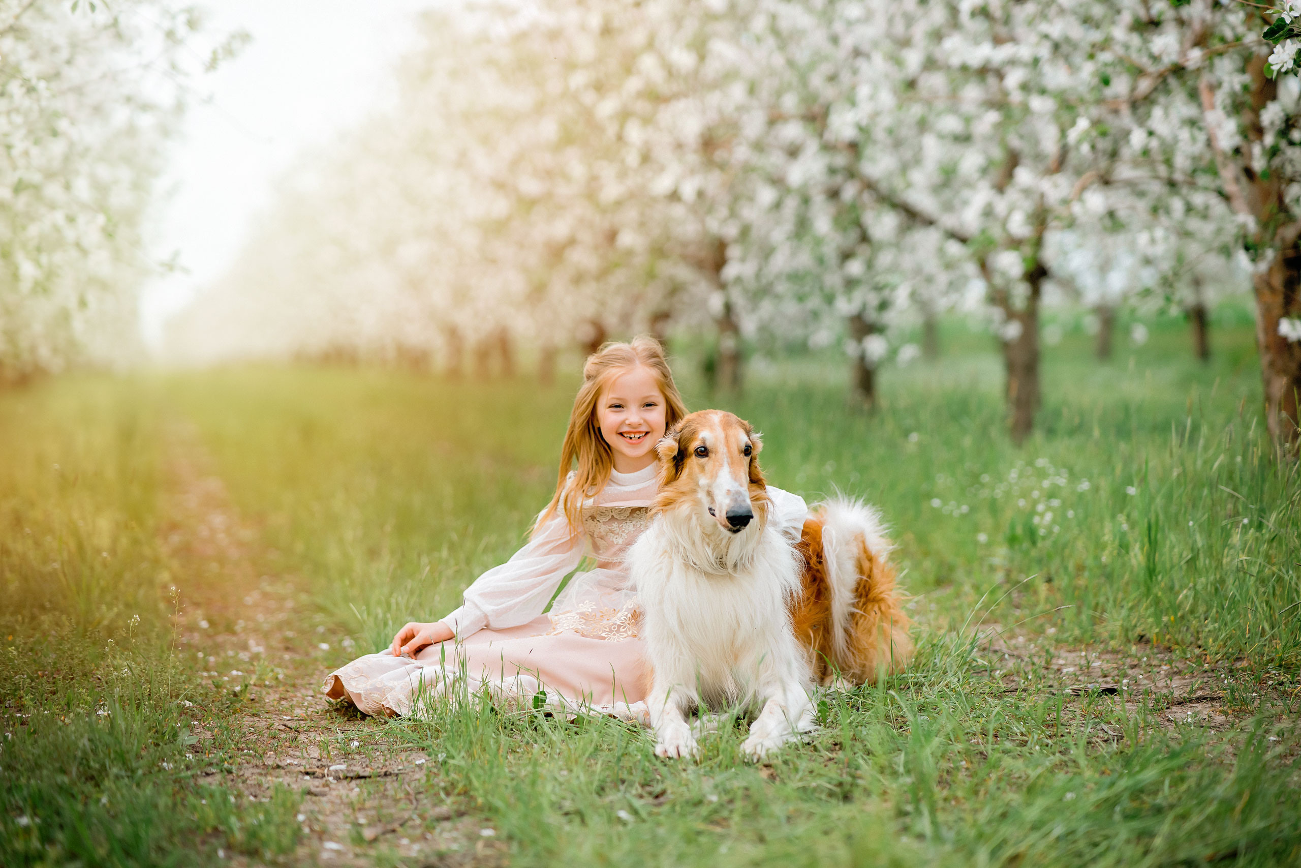 Царская весна. Фотограф в Египте, Хургаде, Луксоре, Сафаге. Фотограф по всему миру
