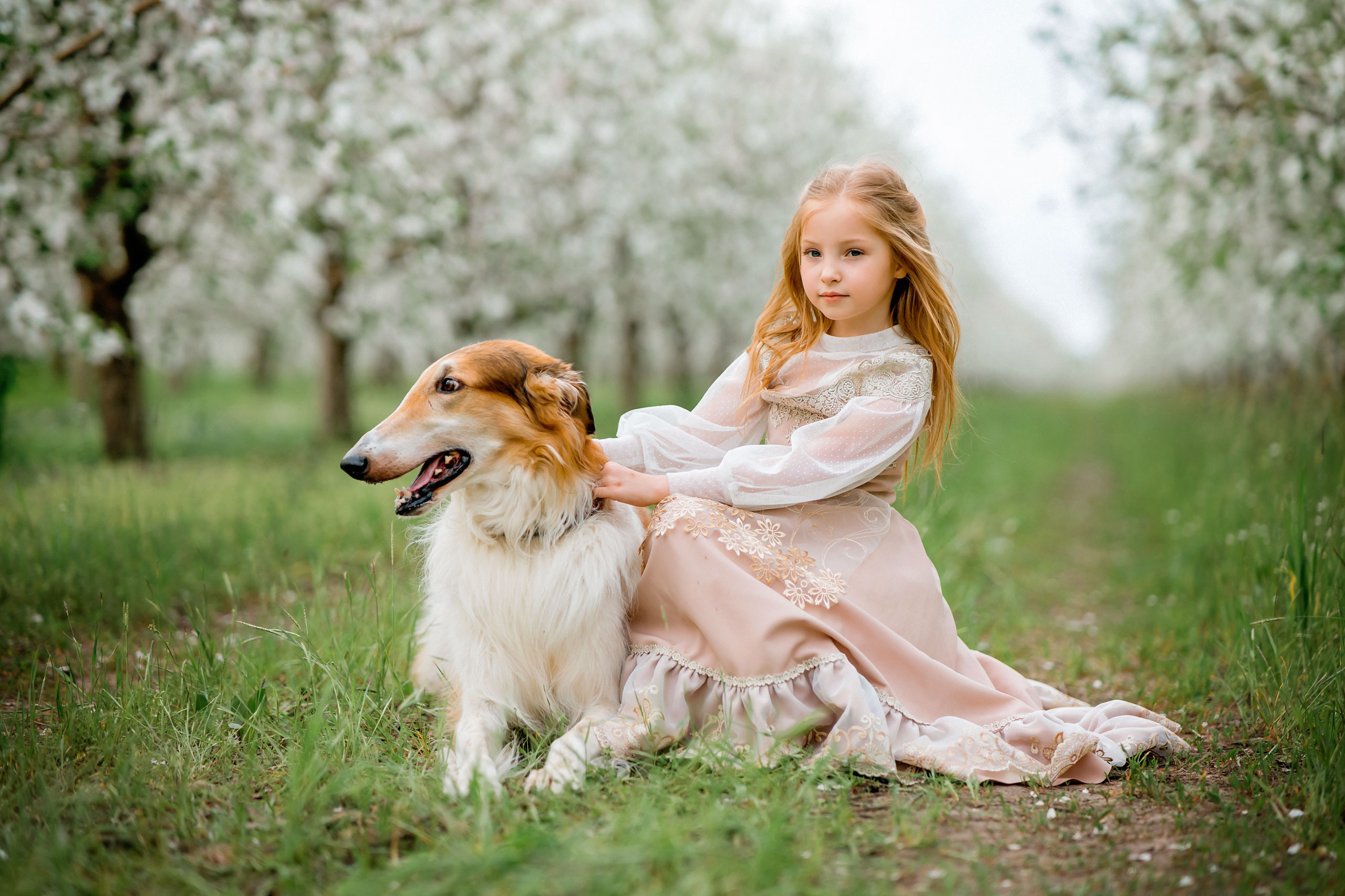 Царская весна. Фотограф в Египте, Хургаде, Луксоре, Сафаге. Фотограф по всему миру