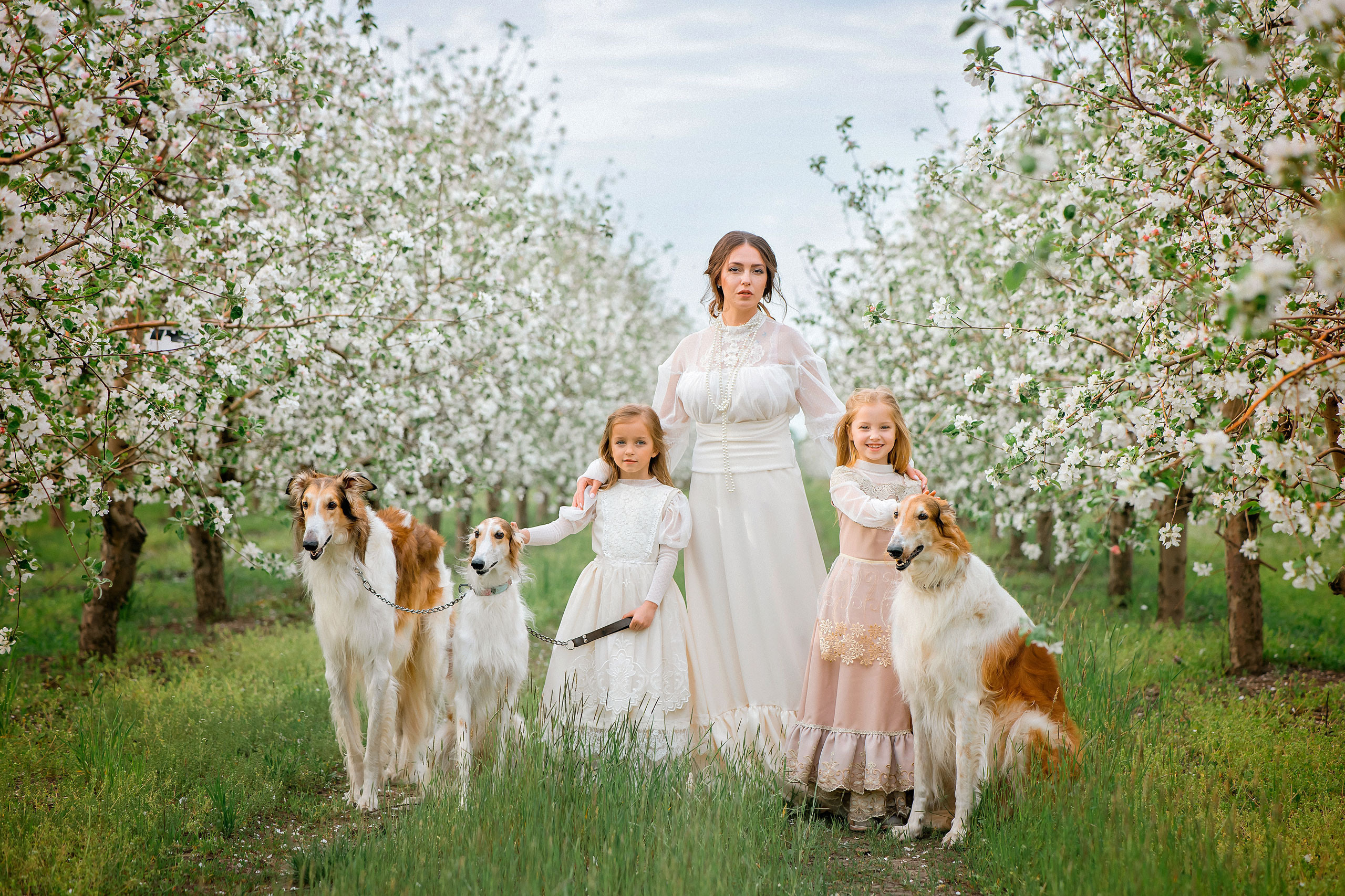 Царская весна. Фотограф в Египте, Хургаде, Луксоре, Сафаге. Фотограф по всему миру