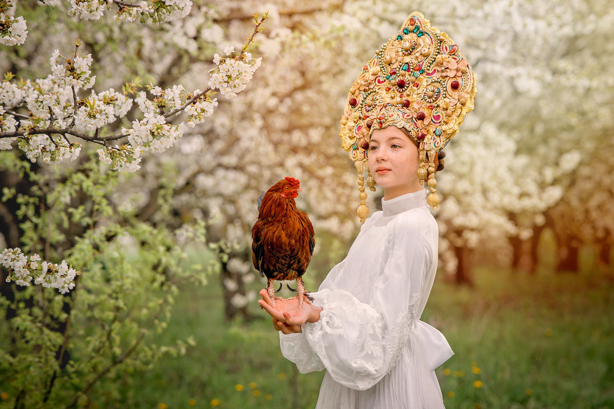 Русская красавица с петухом. Фотограф в Египте, Хургаде, Луксоре, Сафаге. Фотограф по всему миру