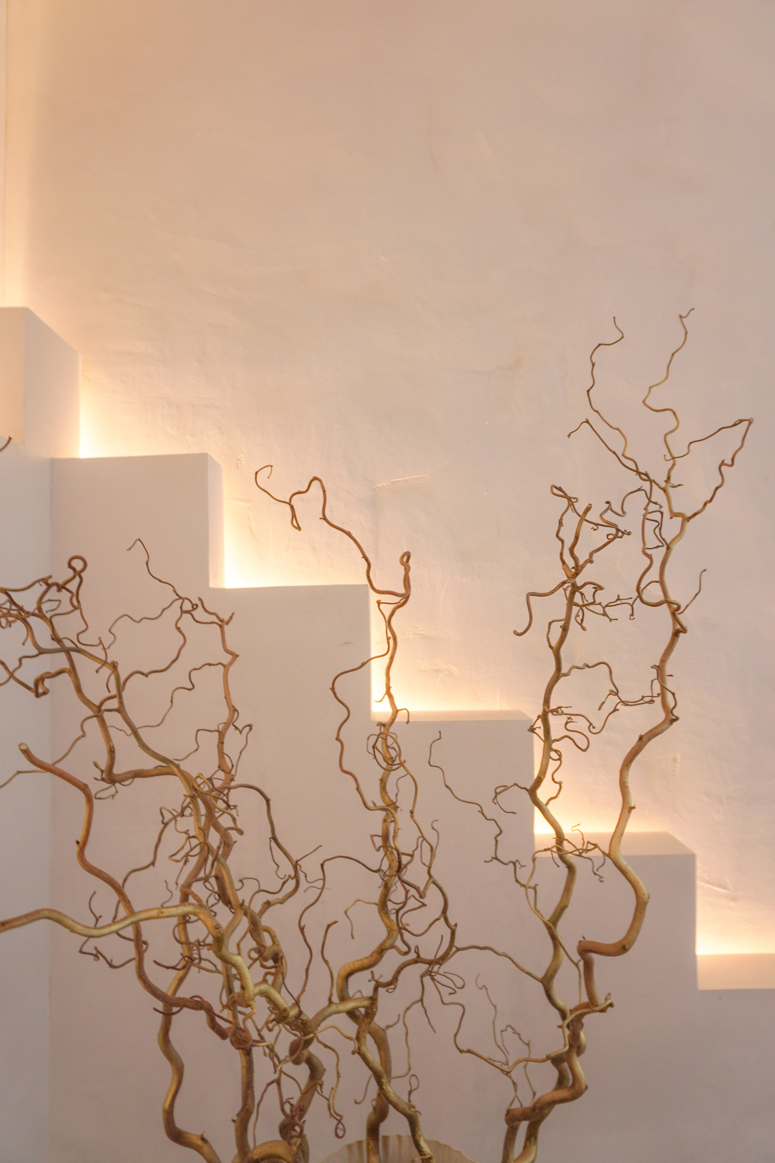 Зал № 36. Фотограф в Москве и области Синенкова Екатерина