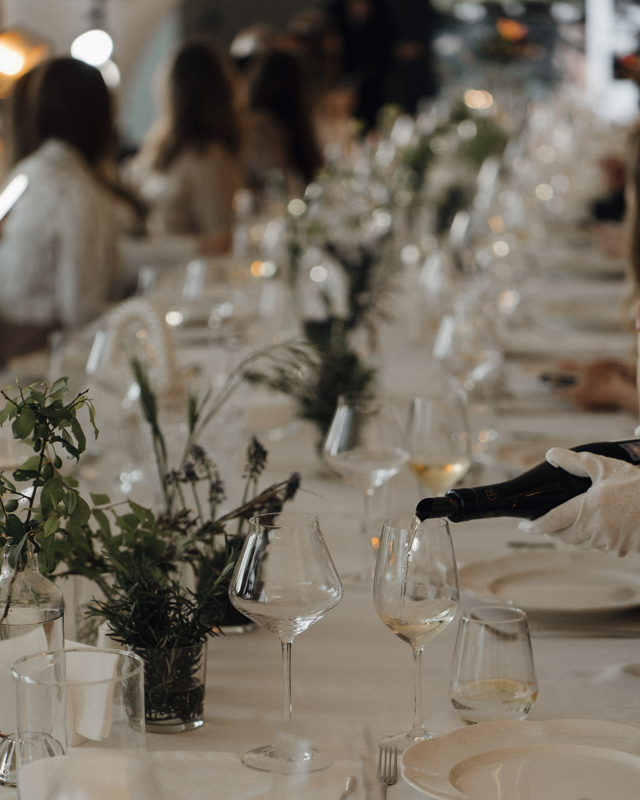 Скалистый берег 2024. Свадебный фотограф в Краснодаре и Сочи Винидиктова Екатерина