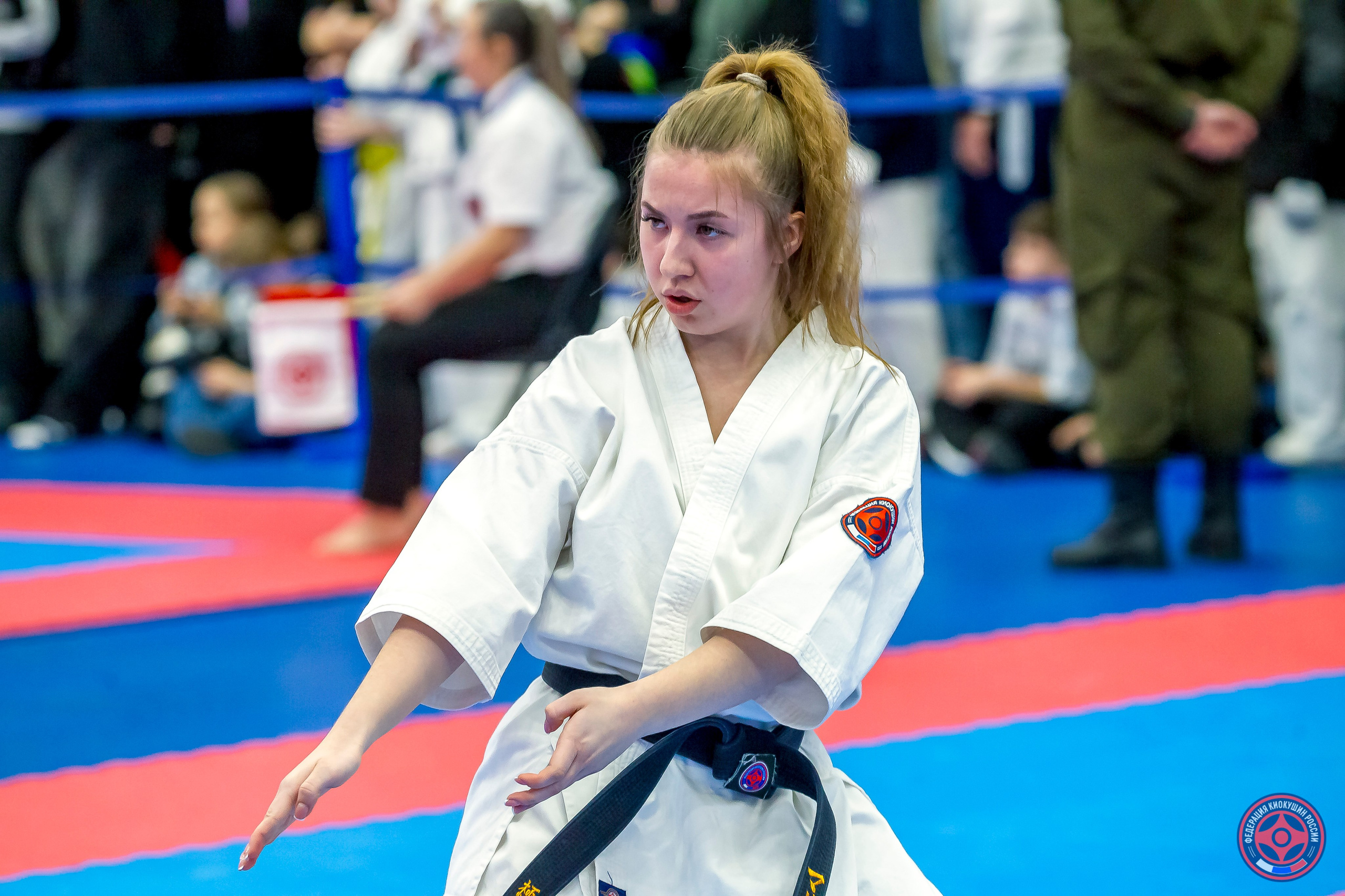 Международный турнир по киокушин «Открытый кубок Seiken». Репортажная съемка в Москве и области. Анималистика