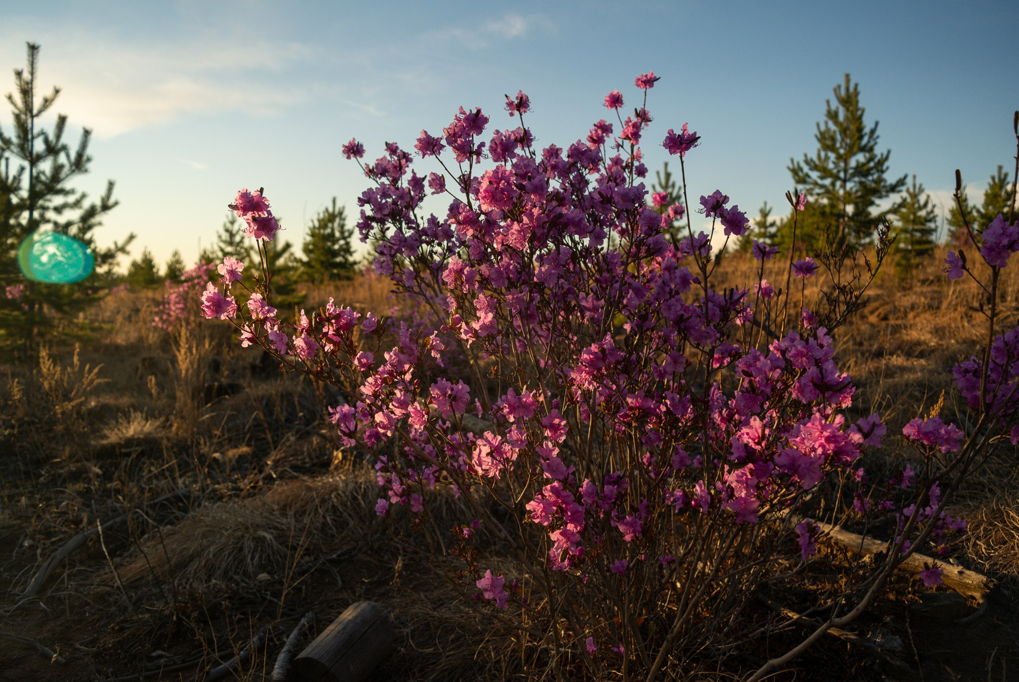 Разное. Репортажный фотограф г. Чита