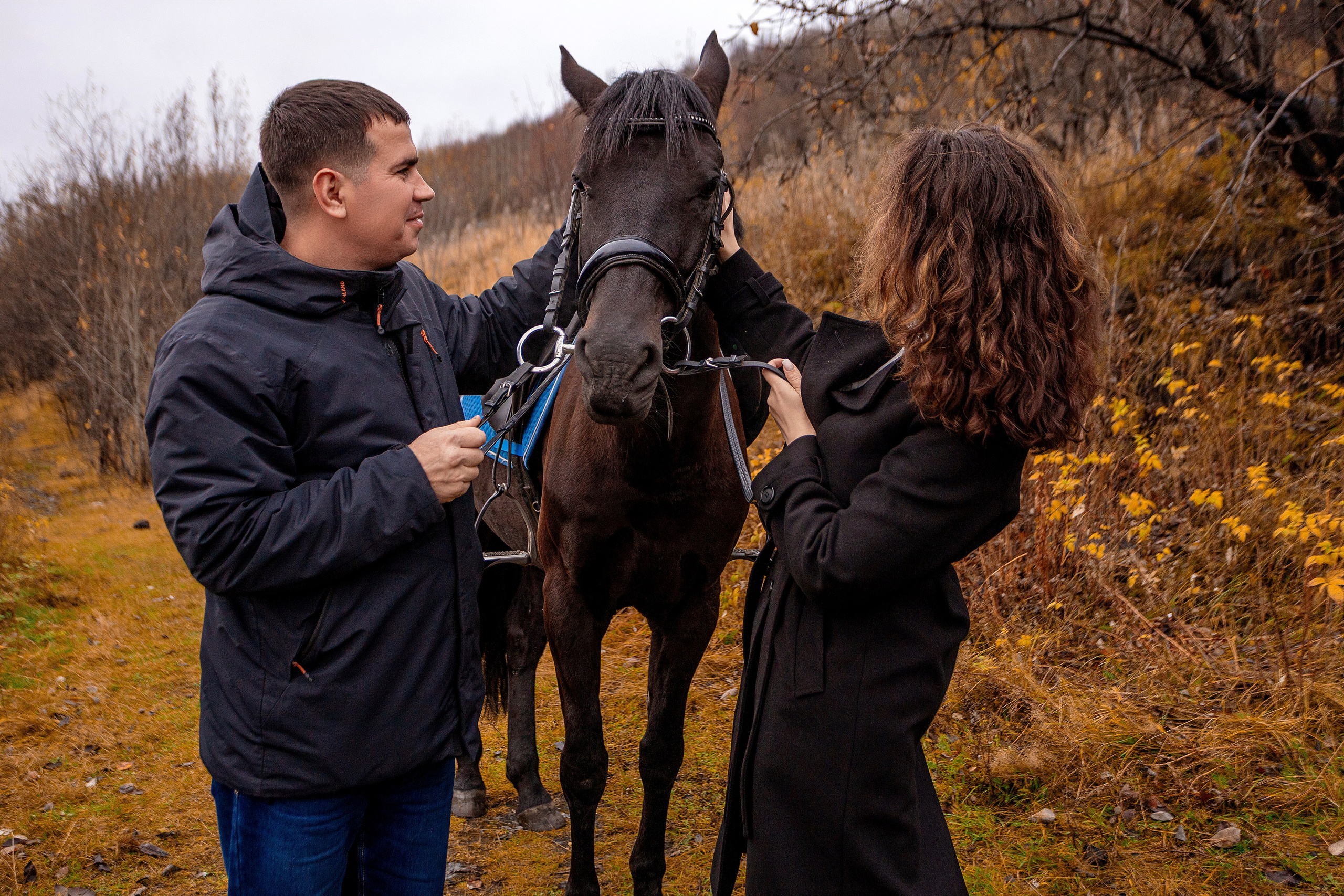 Horses. Фотограф Мурманск Лилия Маер