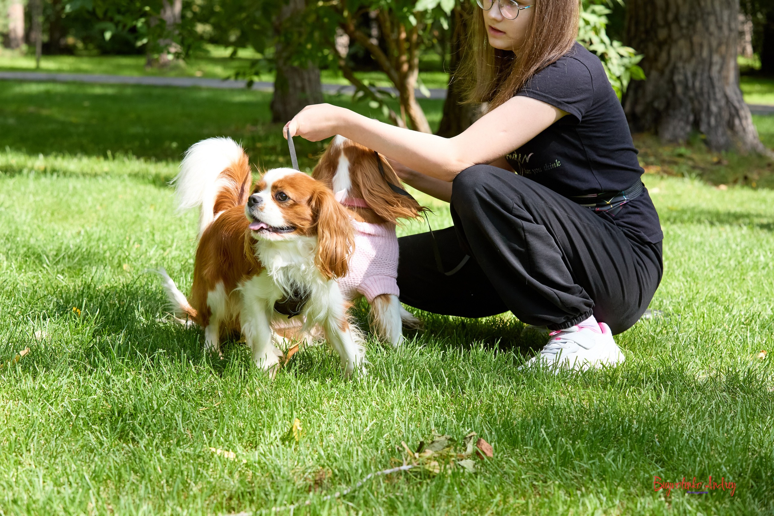 Фотопрогулка с кавалерами. Buyvolenko Andrey